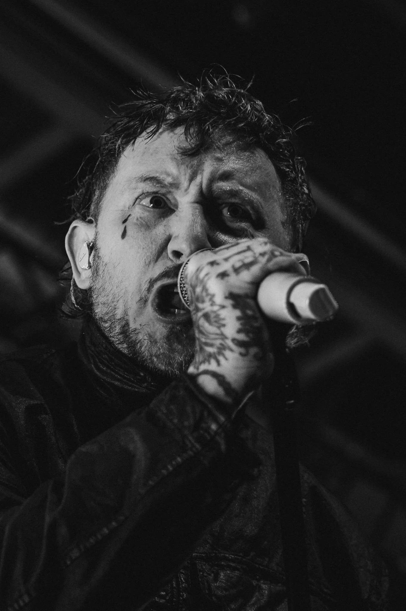 SexPistols w.Frank Carter-14.jpg