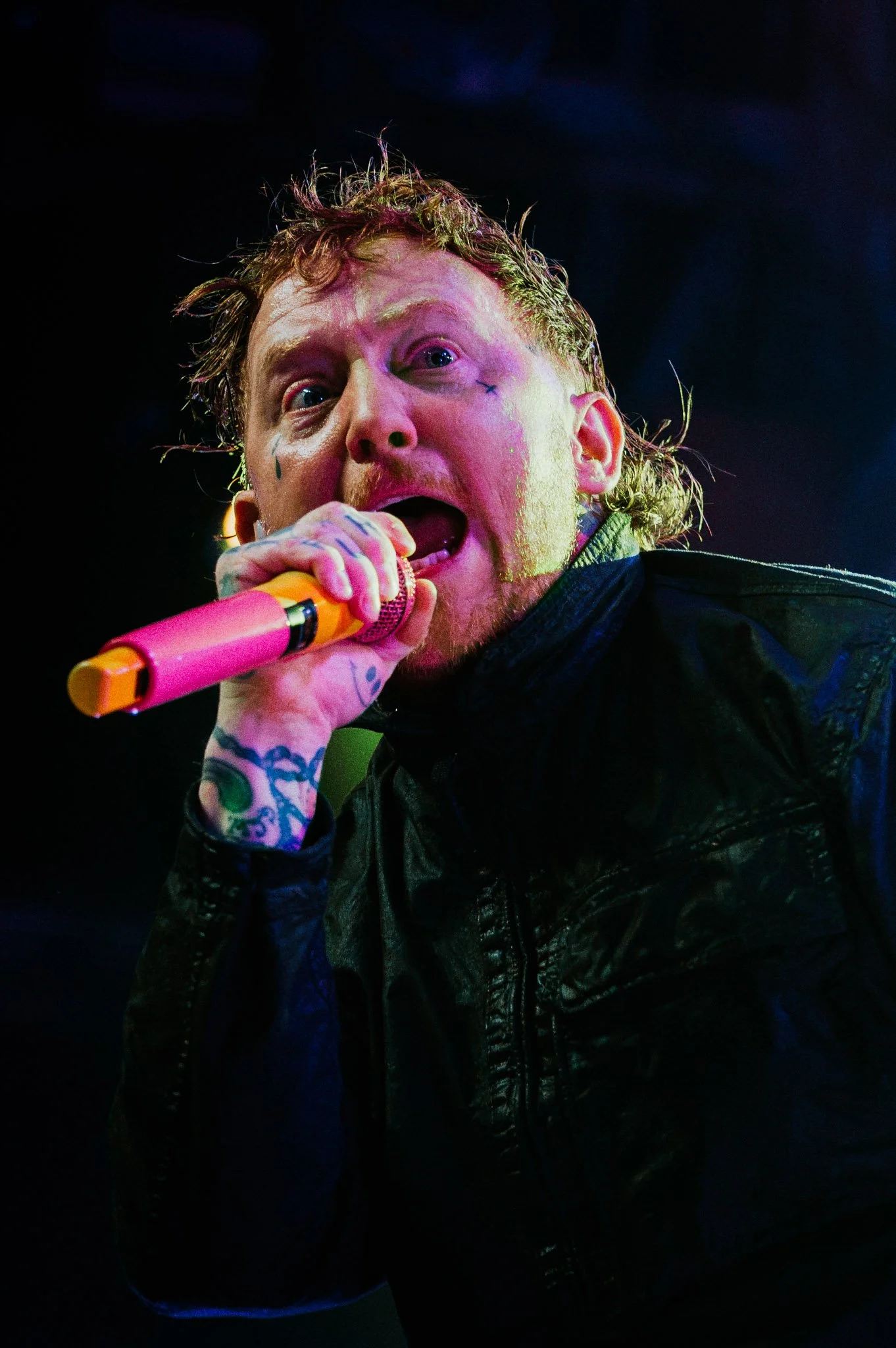 SexPistols w.Frank Carter-17.jpg