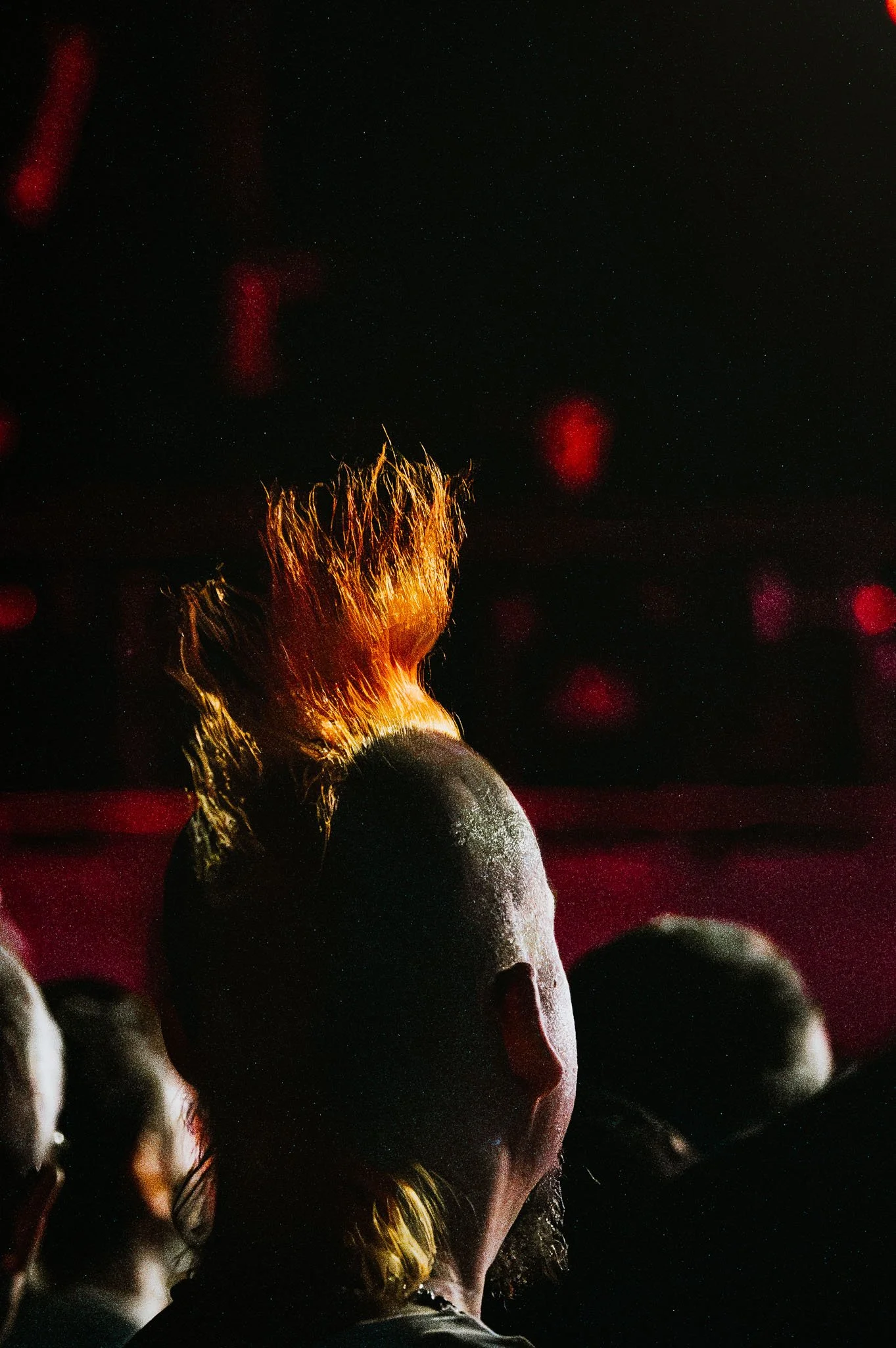 SexPistols w.Frank Carter-22.jpg