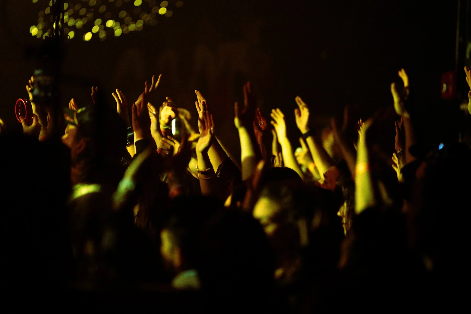 gvfbasementeast-37.jpg