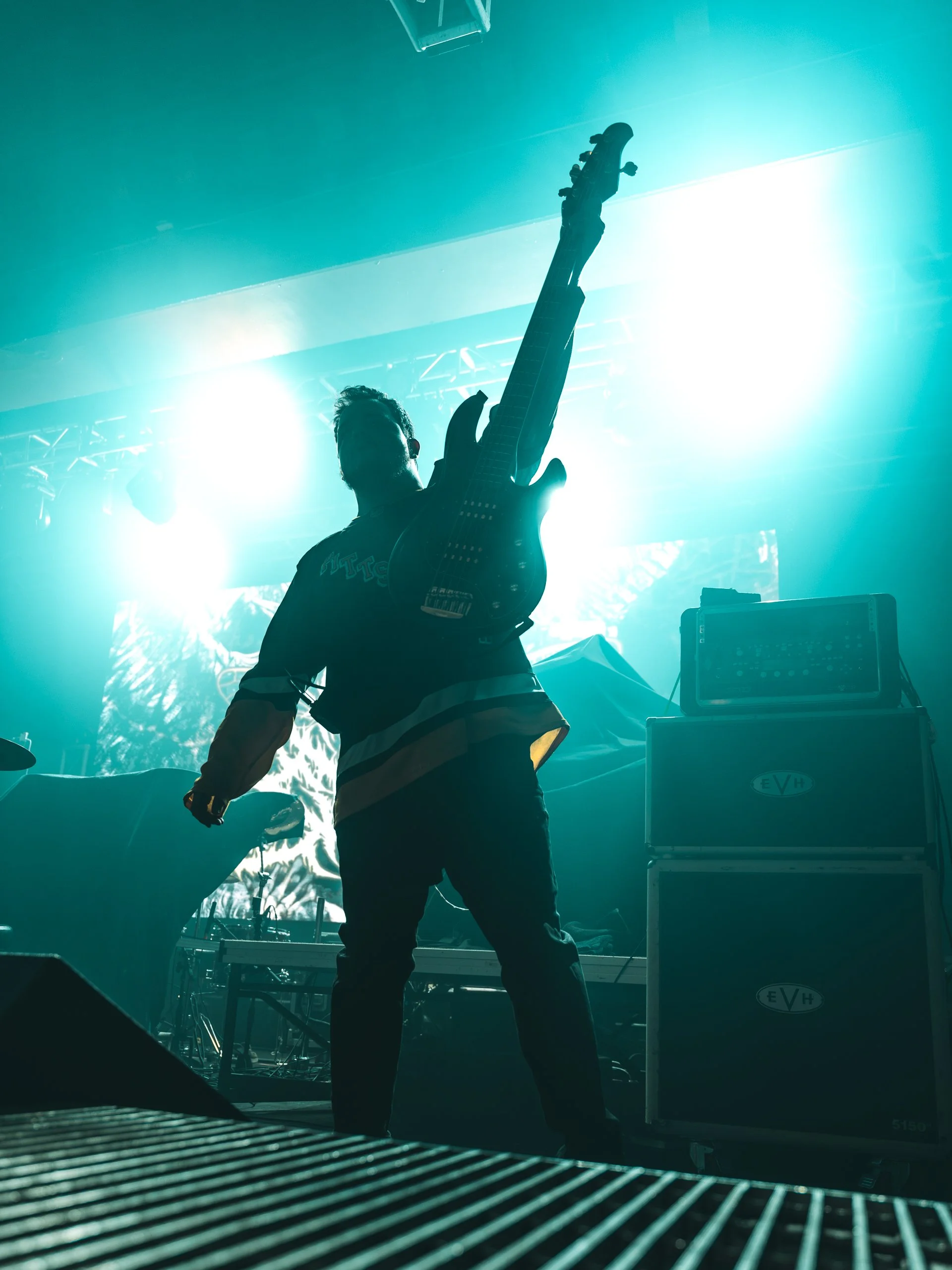 signsoftheswarm-5.jpg