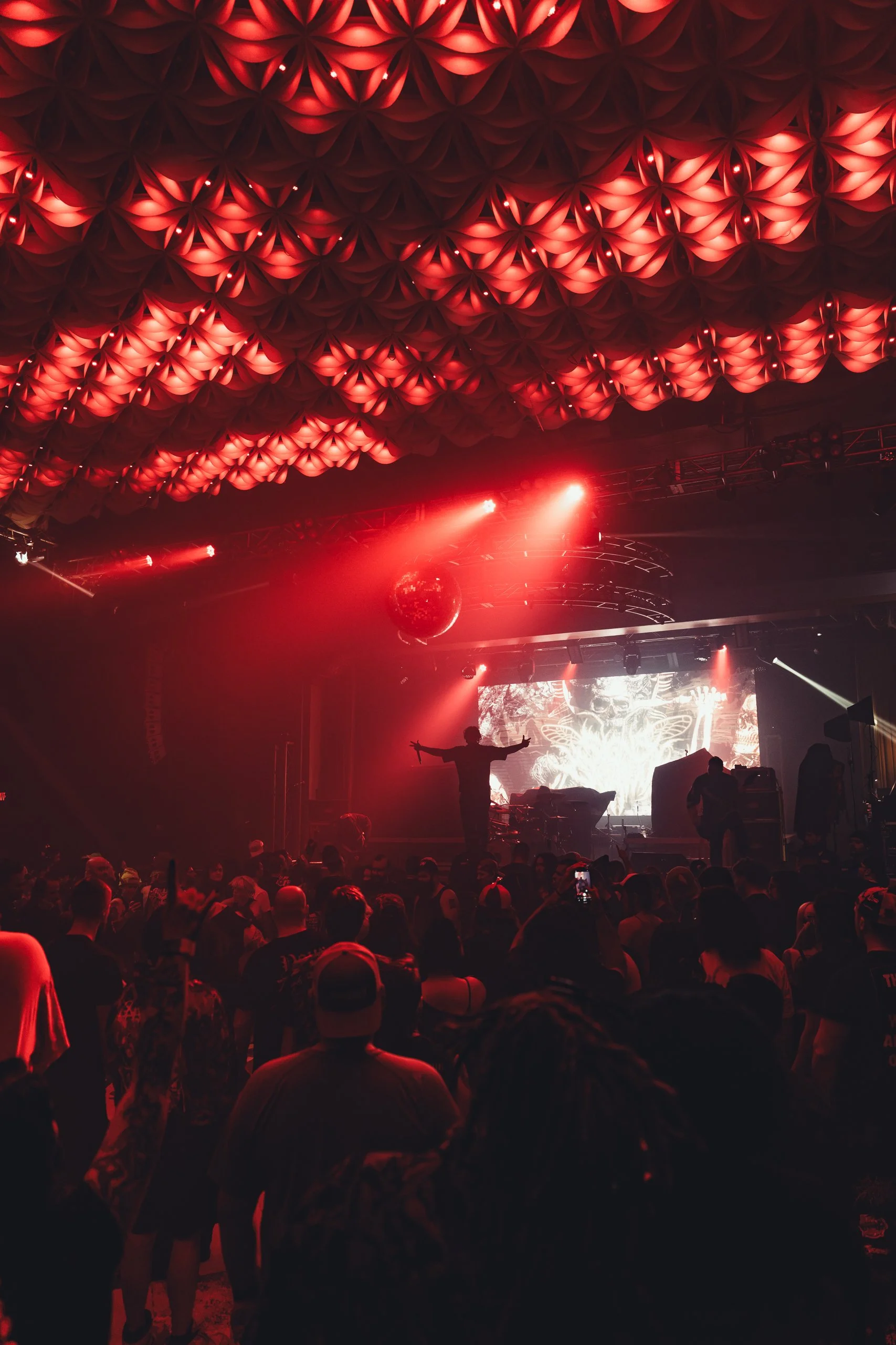 signsoftheswarm-16.jpg