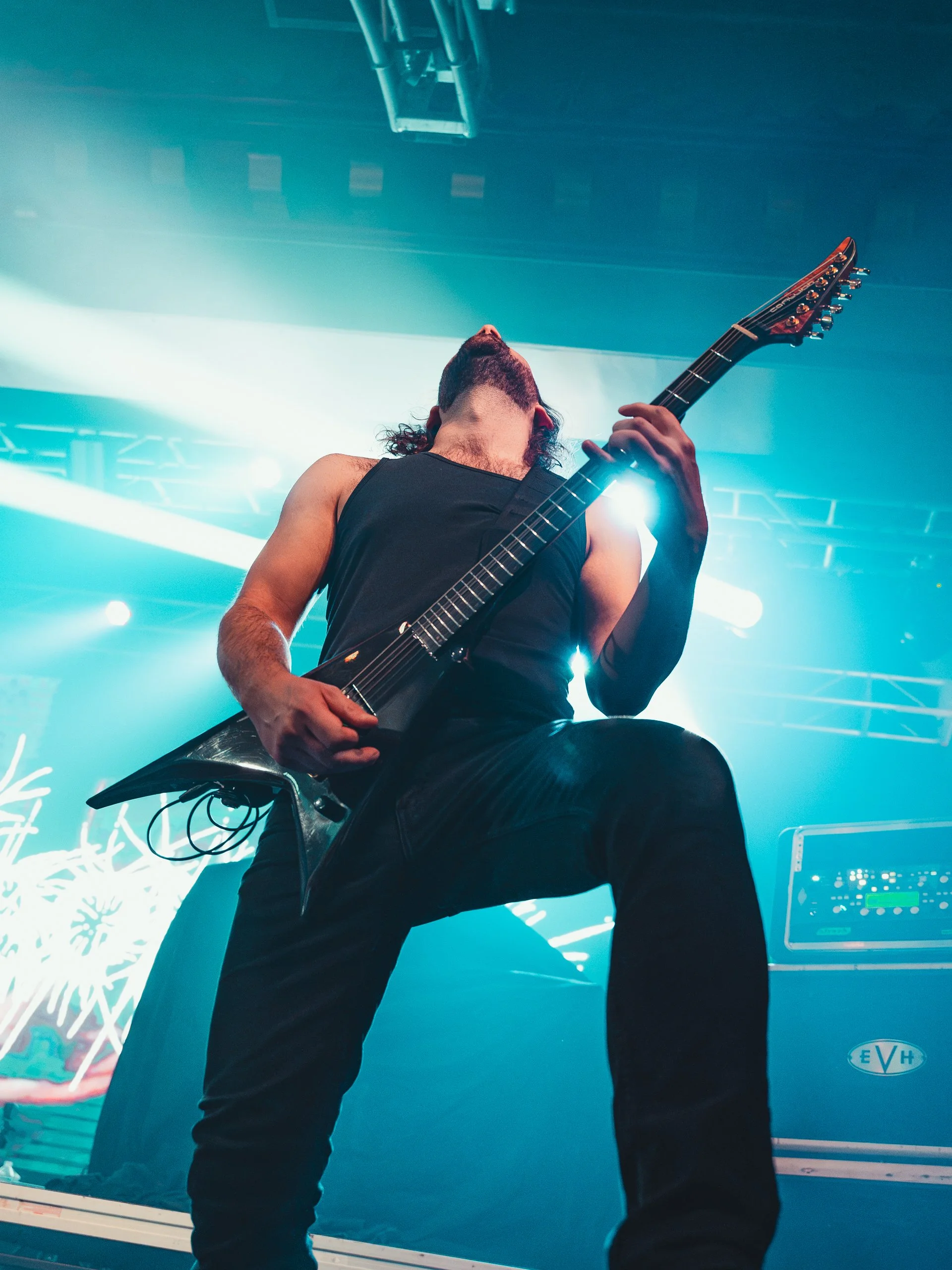aborted-6.jpg