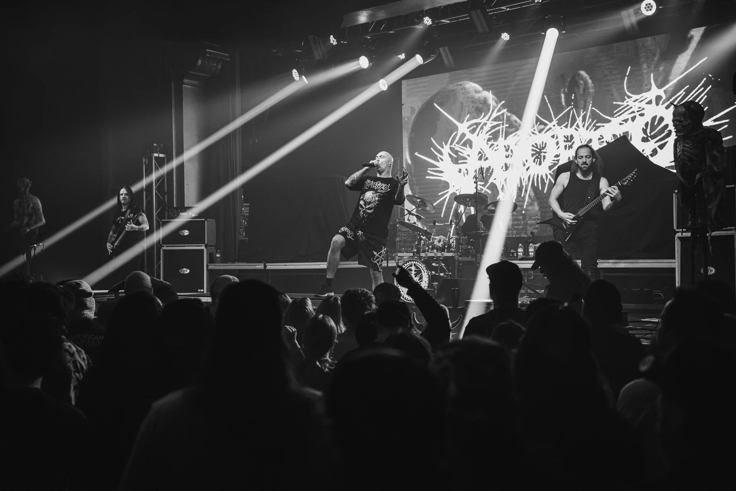 aborted-24.jpg