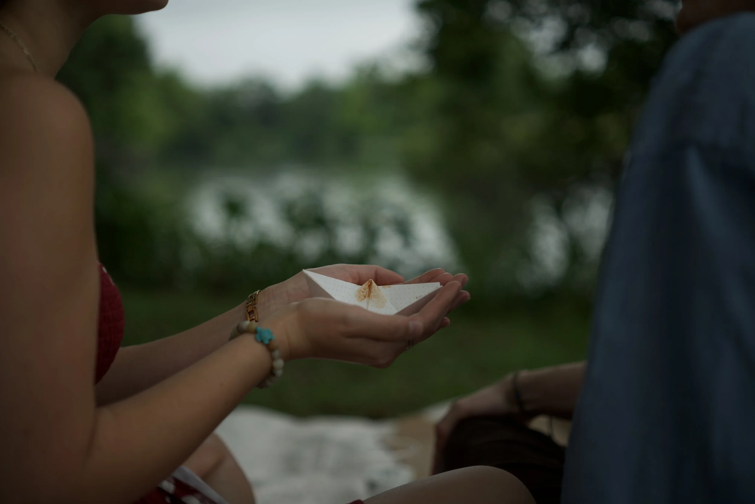 dsc08293.jpeg