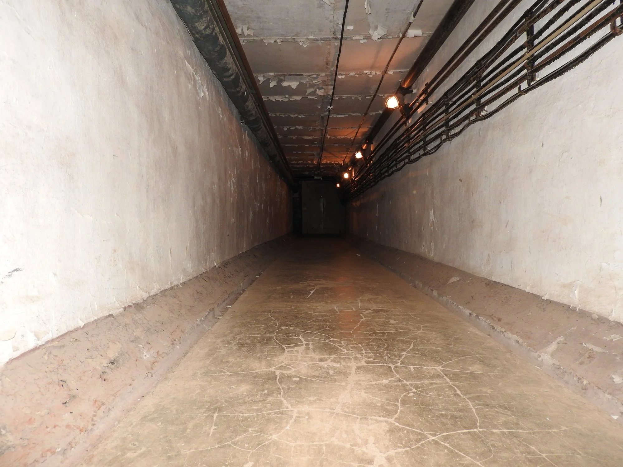 Book 2: Officially Titled