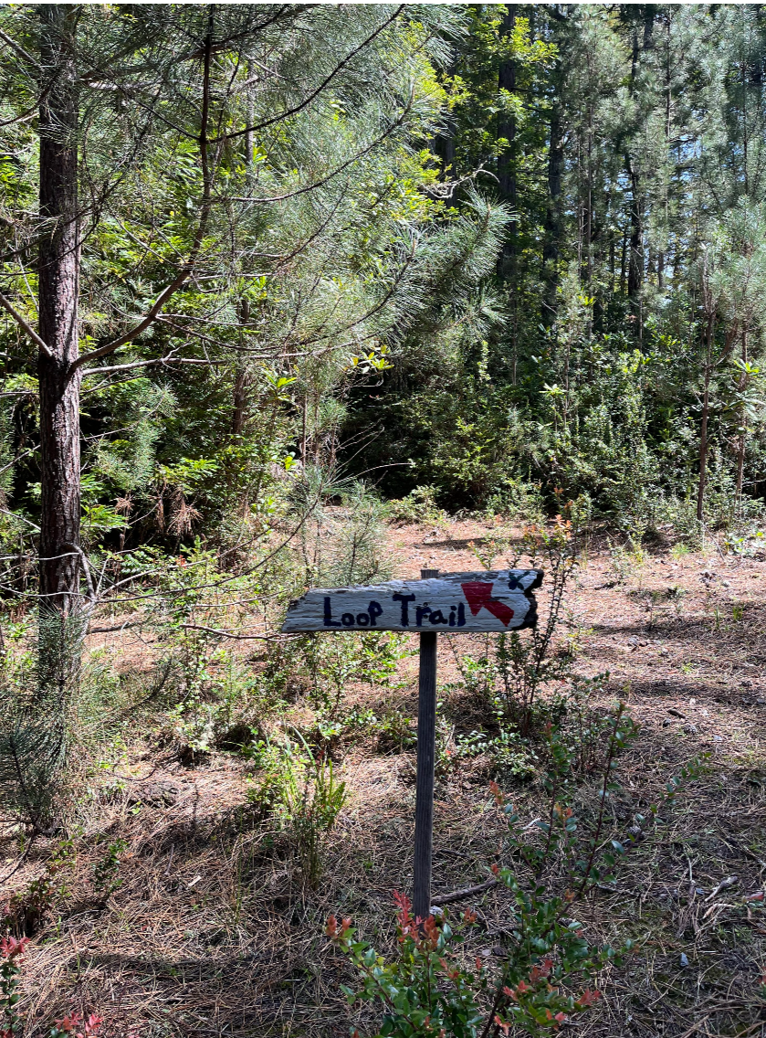 Screenshot 2025-06-11 203005.png