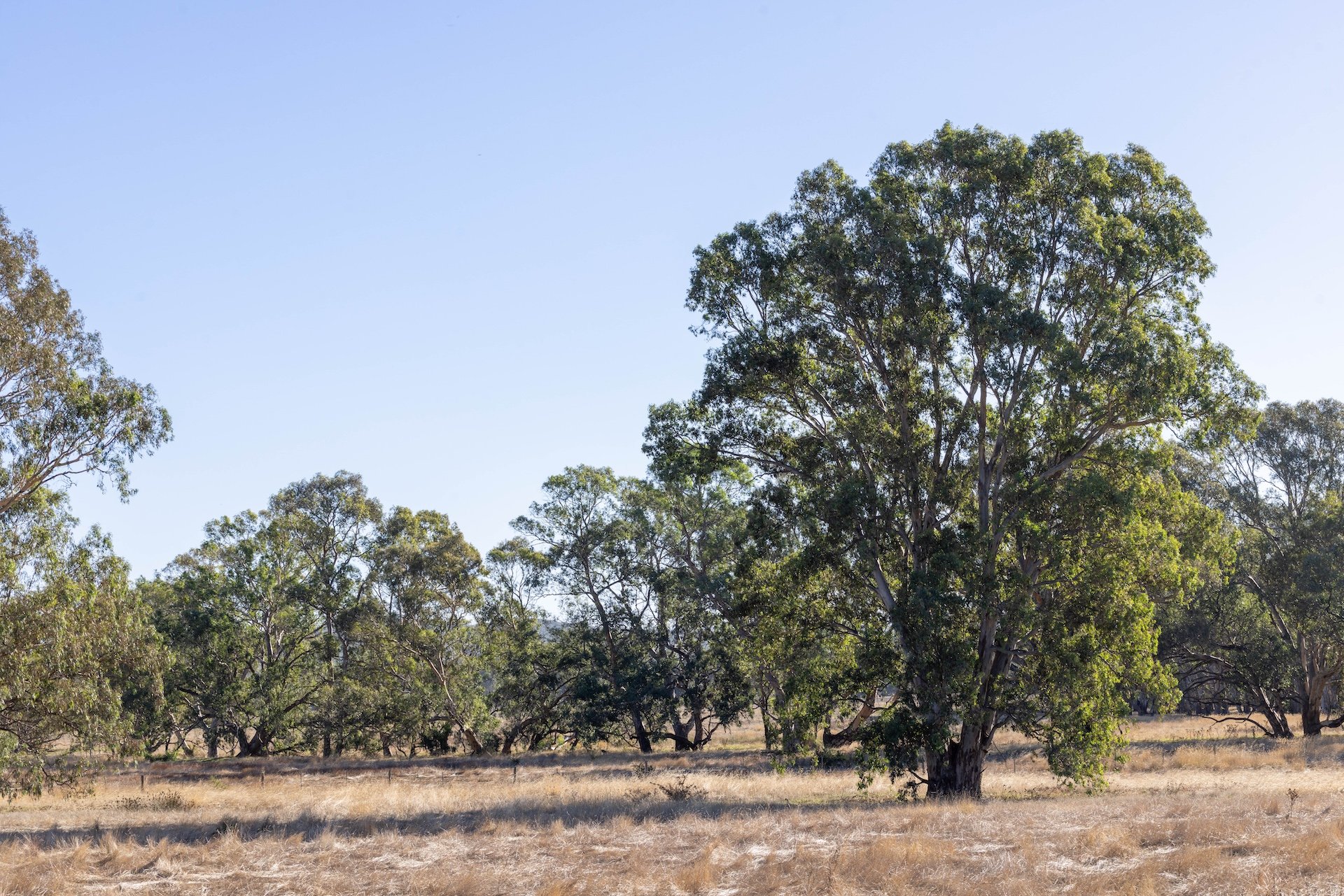 610 Axe Creek-15.jpg