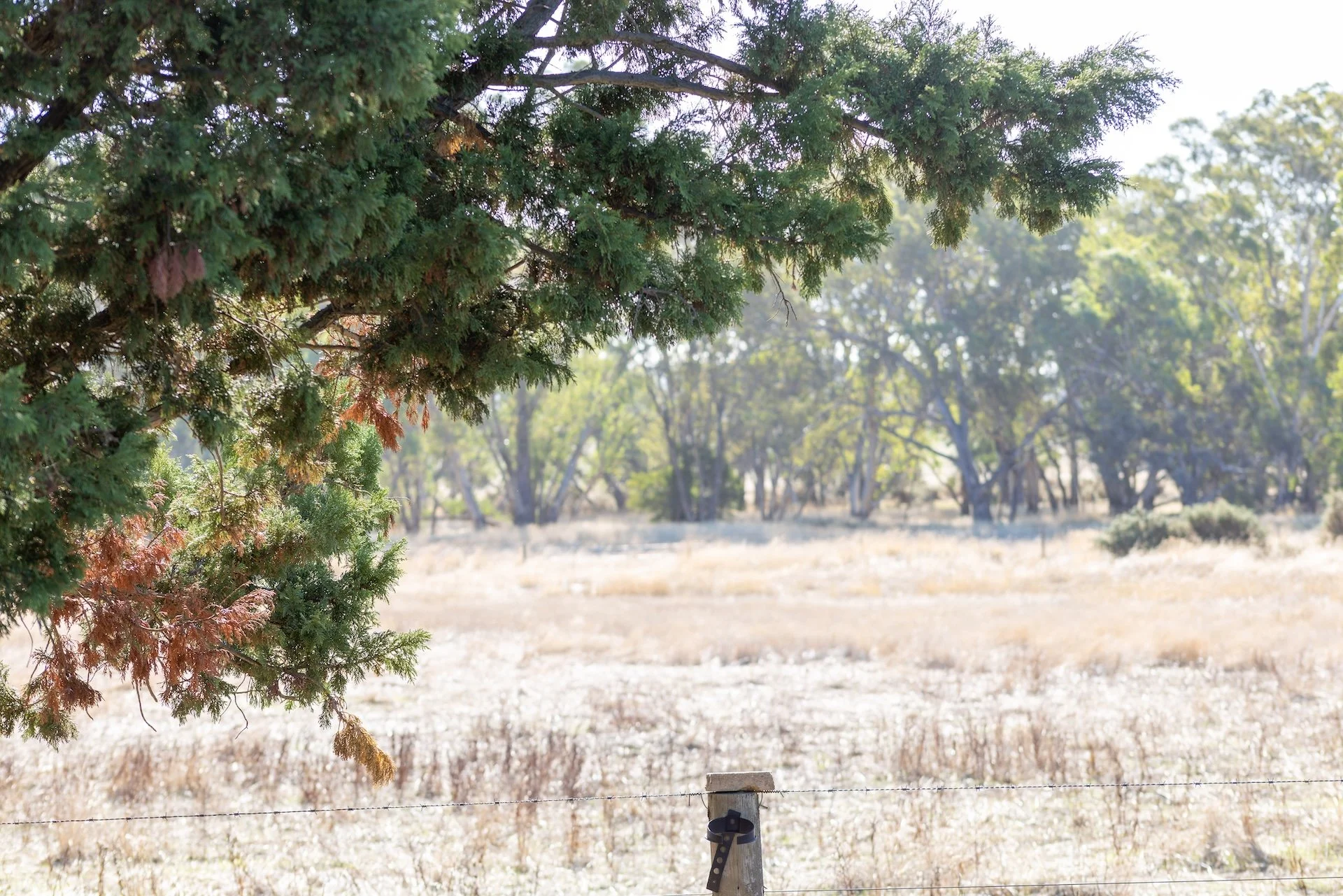 610 Axe Creek-14.jpg