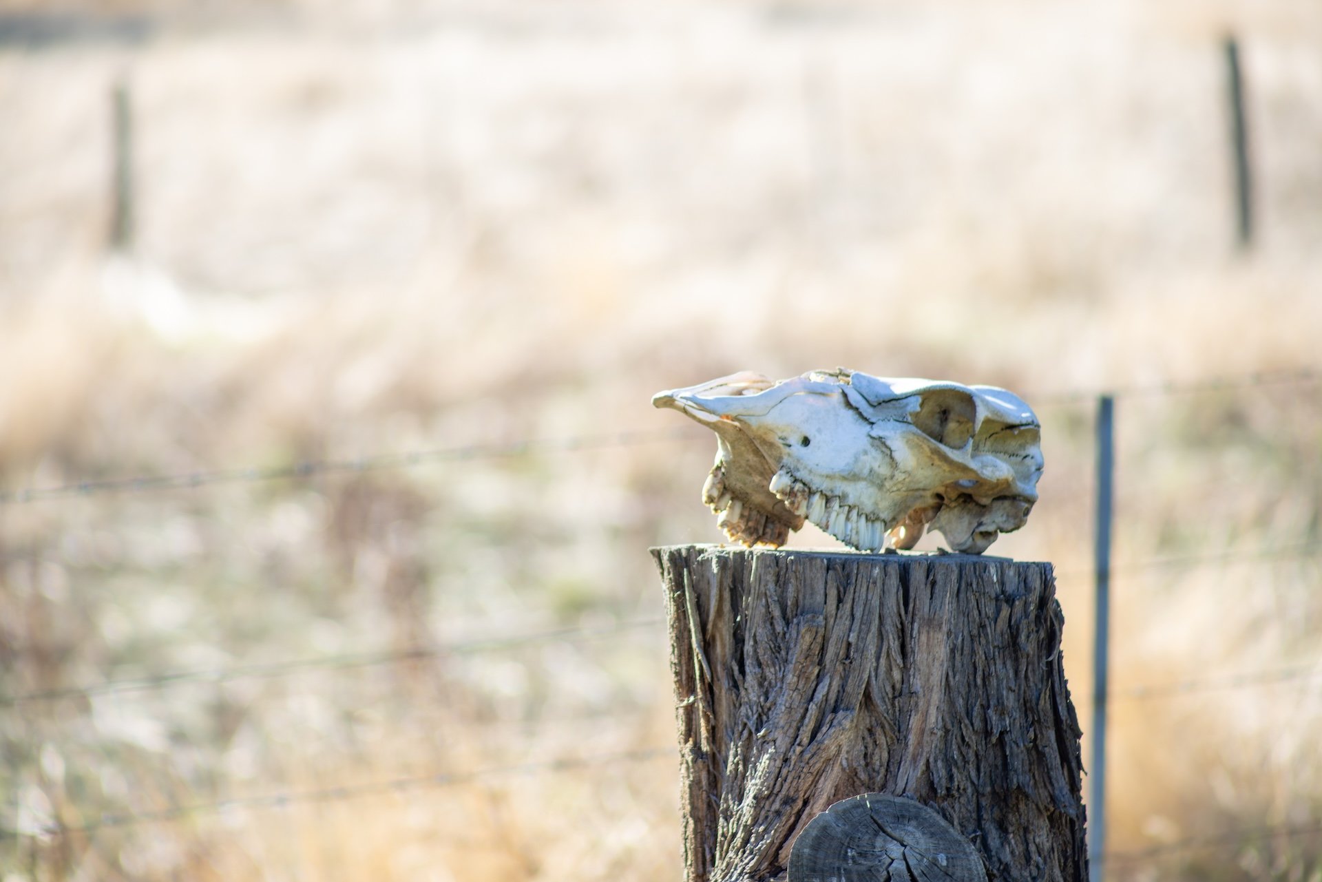 610 Axe Creek-13.jpg