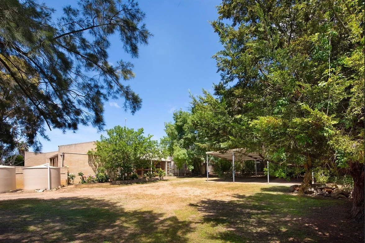 Large Side Yard.jpg