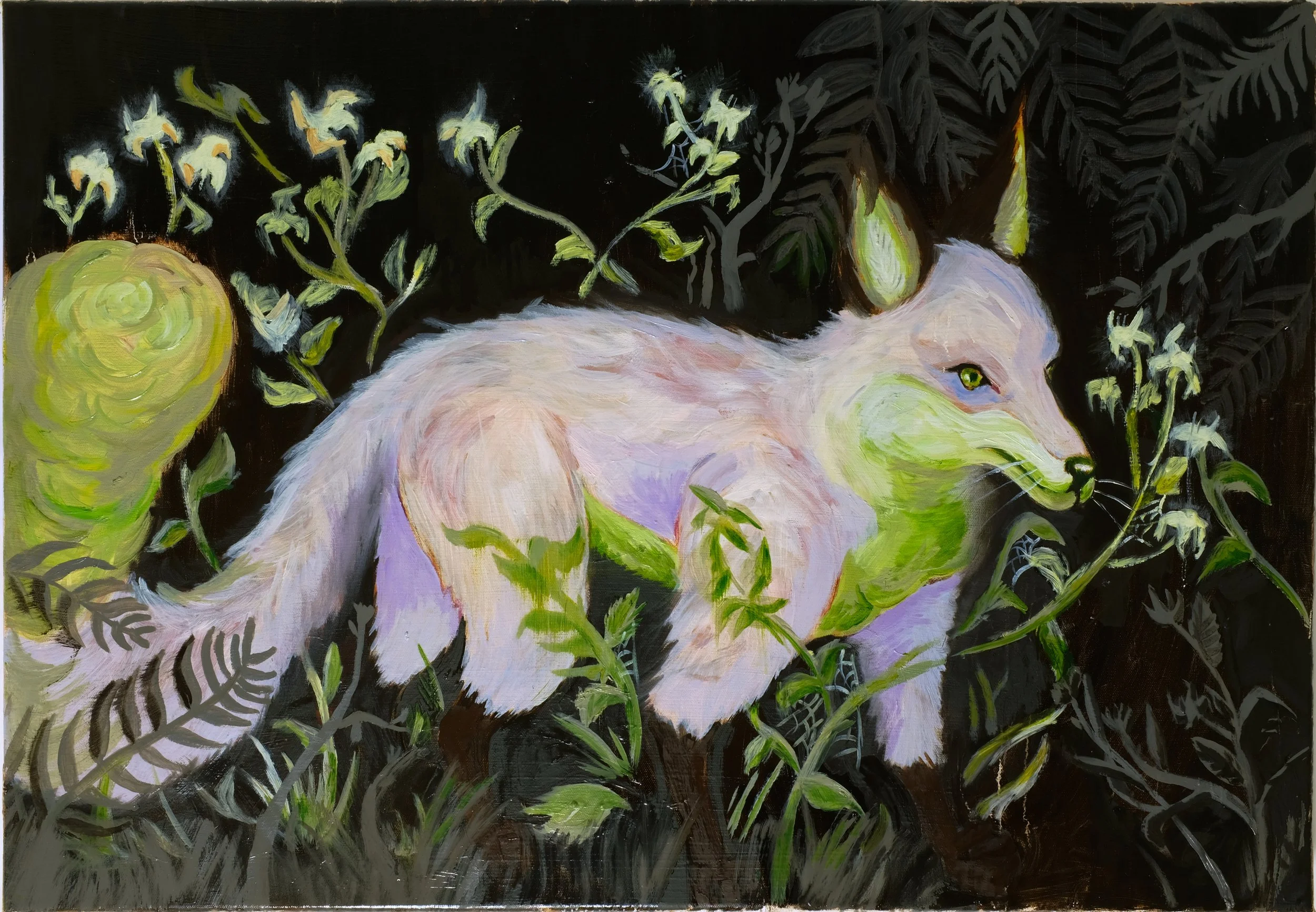 Alley Fox  2026 Oil on Canvas 71x50cm , Not for sale 