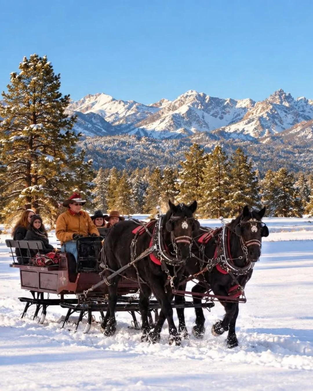 Colorado sleigh ride 