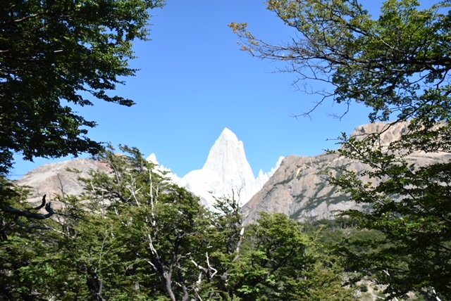 DSC_0234.JPG