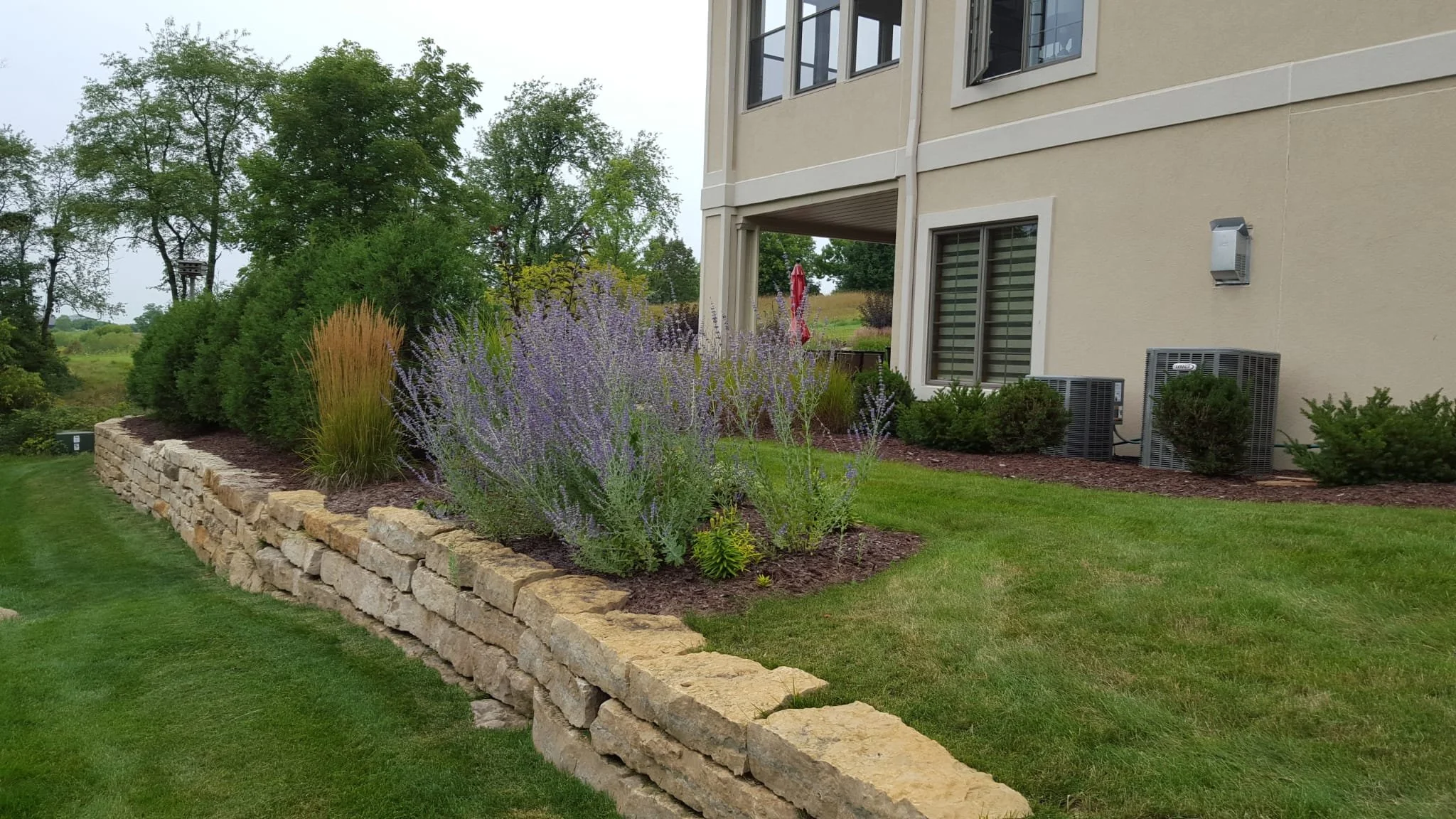 WhatsApp Image 2024-12-12 at 08.54.23_87f1d453.jpg