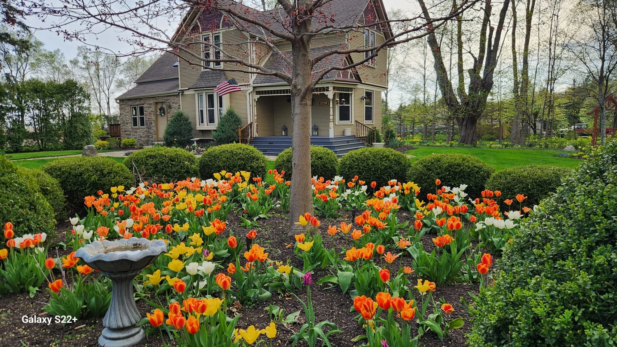 WhatsApp Image 2024-12-11 at 21.00.52_c17adf20.jpg