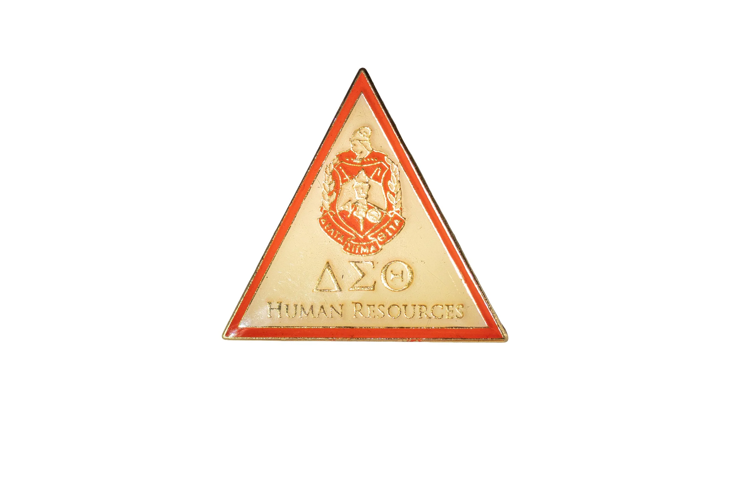 Delta Sigma Theta "Human Resources" Lapel Pin
