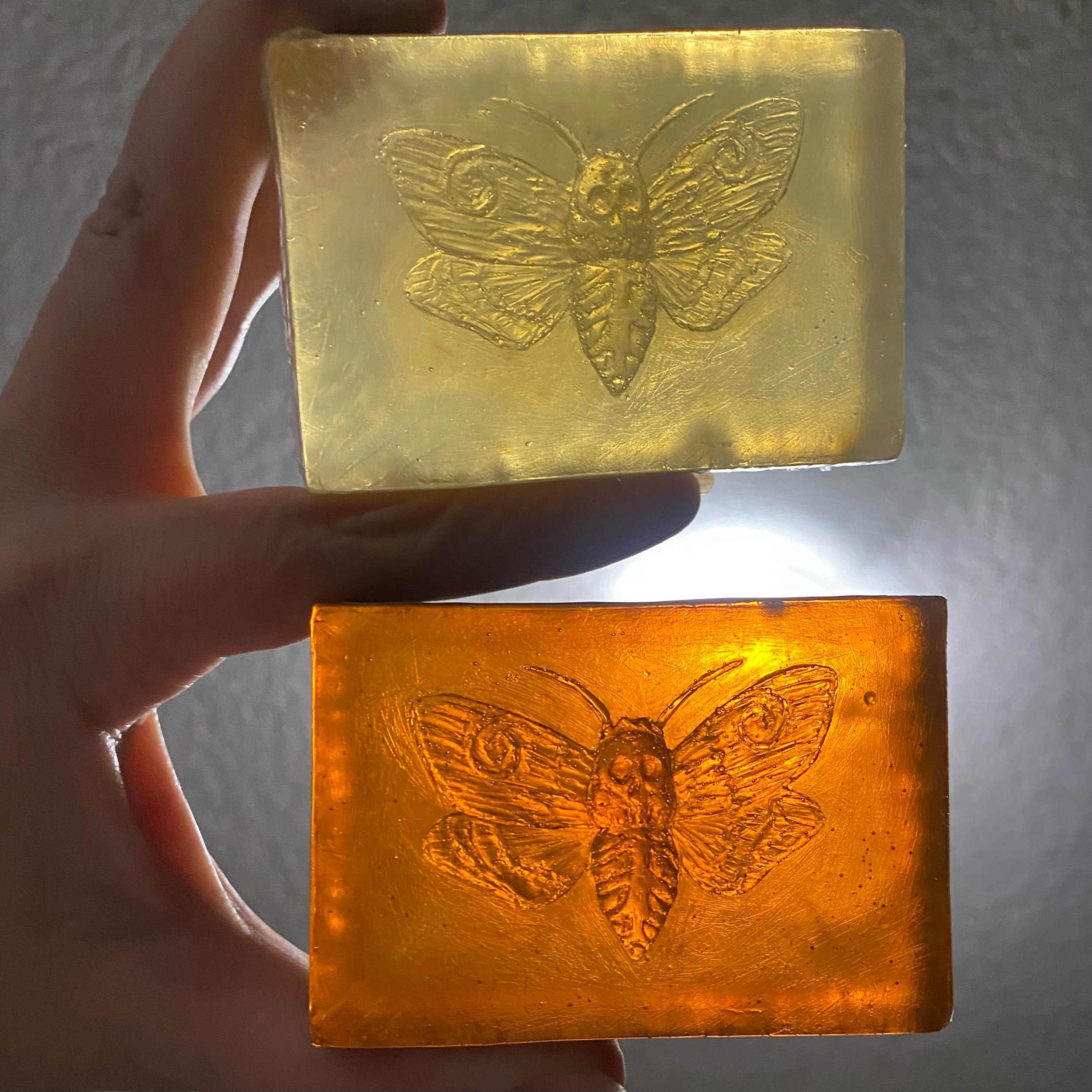 Honey 6.png