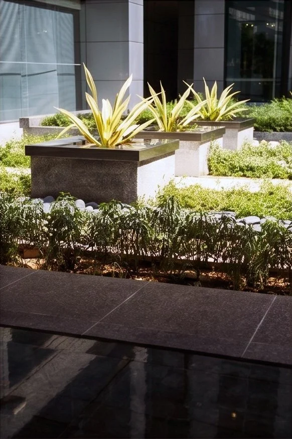 Planters-light dark-vert-CS.jpg