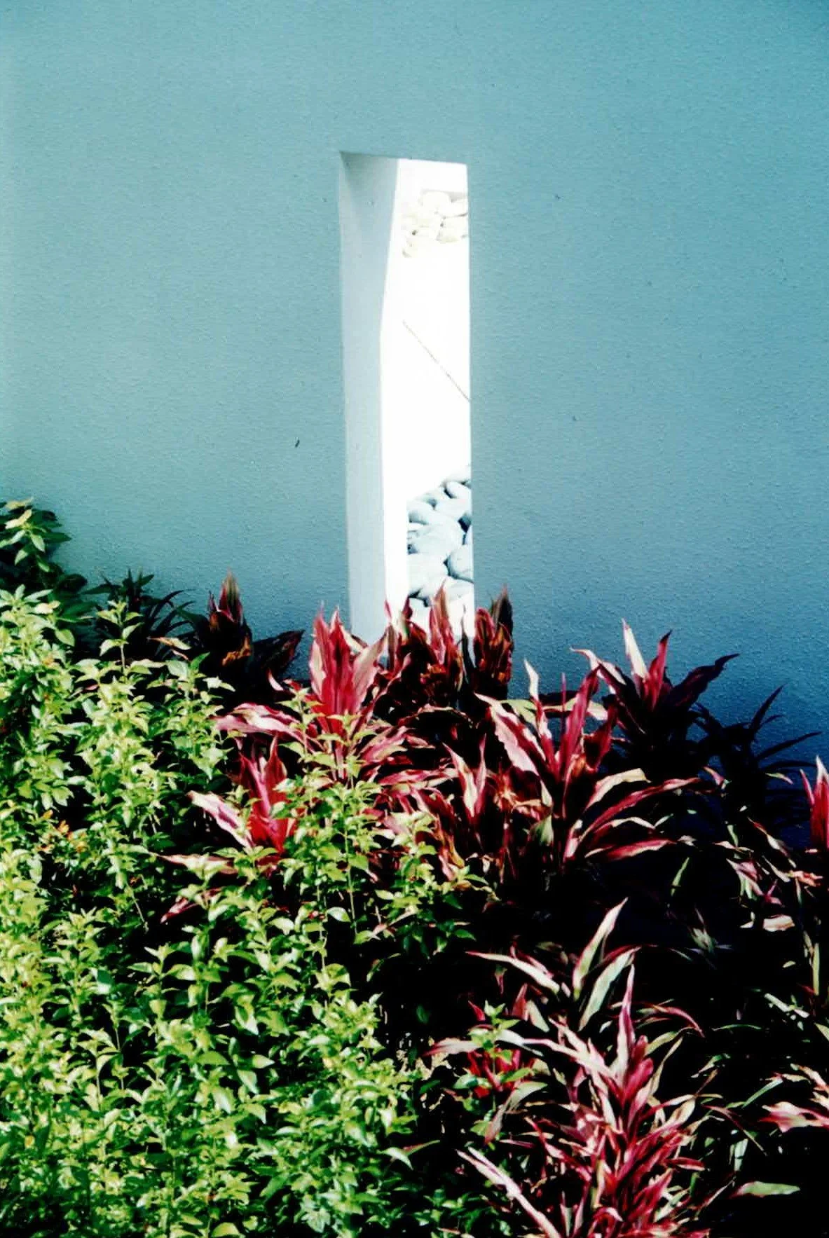 Rooftop 2 pic.jpg