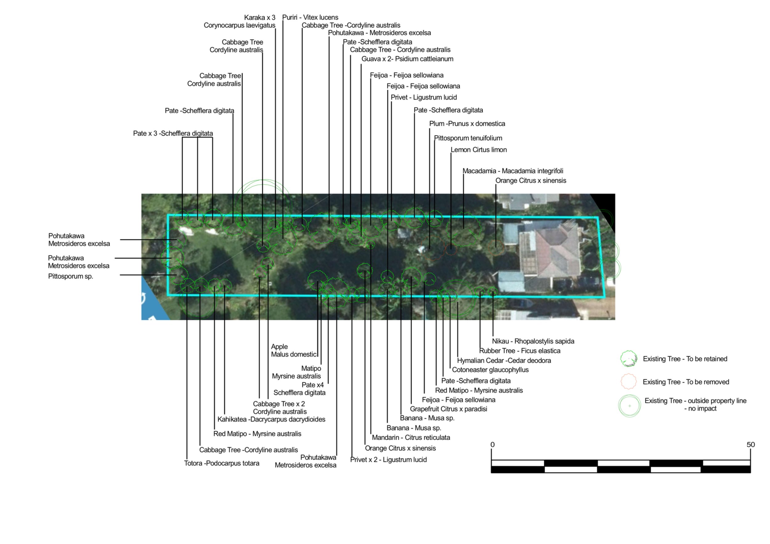 Aerial view of a landscaped garden with labeled trees and plants, including various fruit trees, native trees, and ornamental plants, with overlaid lines and labels indicating plant species and planting plan details.