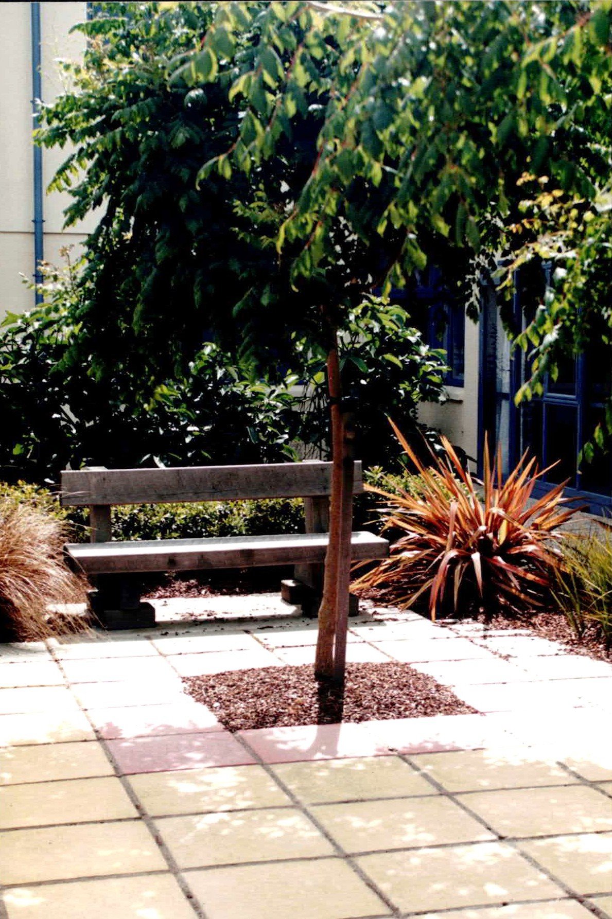 A small garden area with a wooden bench, a tree, and various plants including a reddish bush, surrounded by paved tiles.