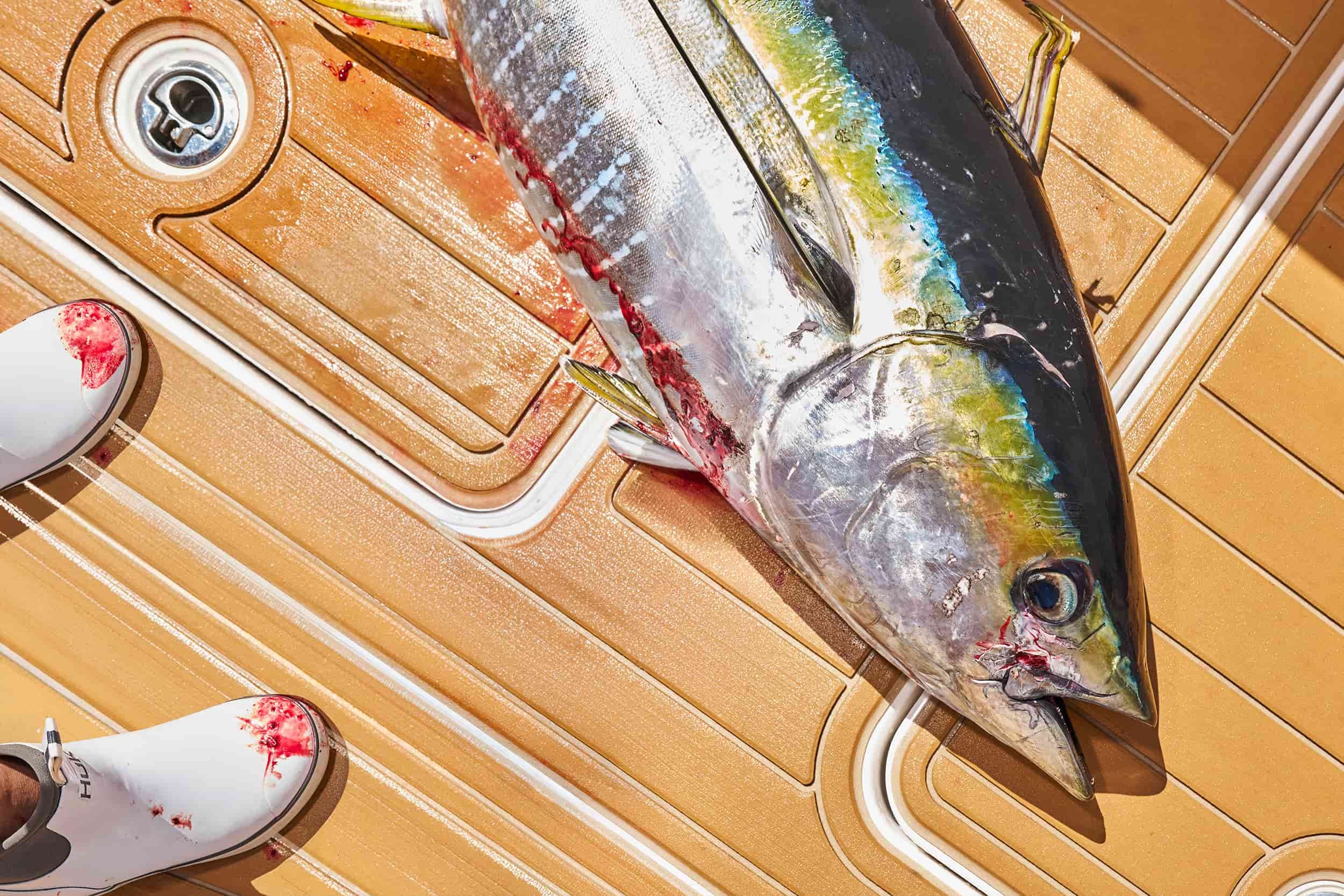 Fishing lifestyle campaign for HUK with fresh tuna on boat deck, commercial photography