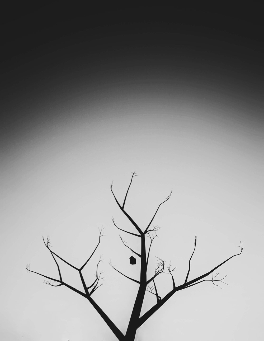 five poems