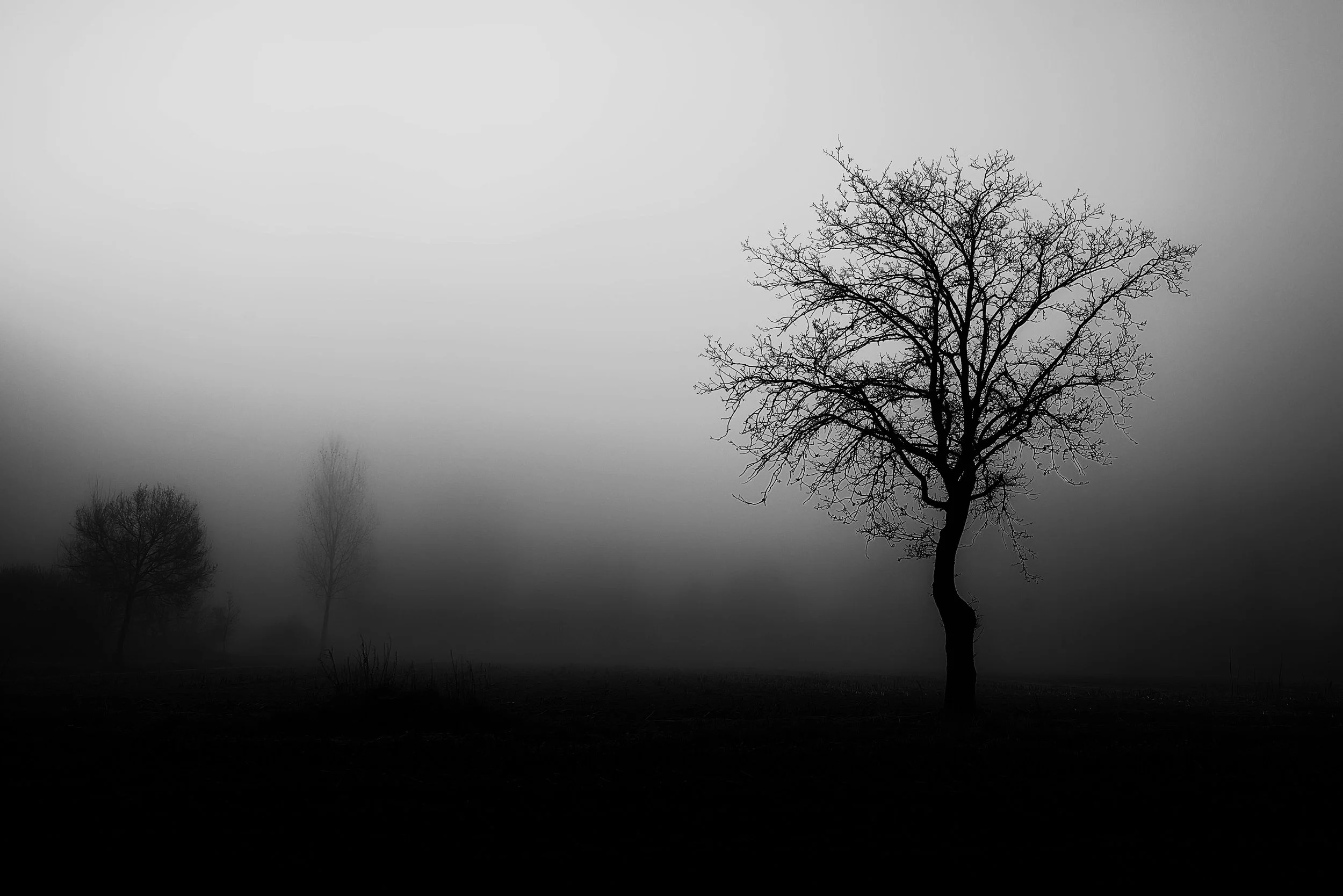 a swimmer within sight of his moon