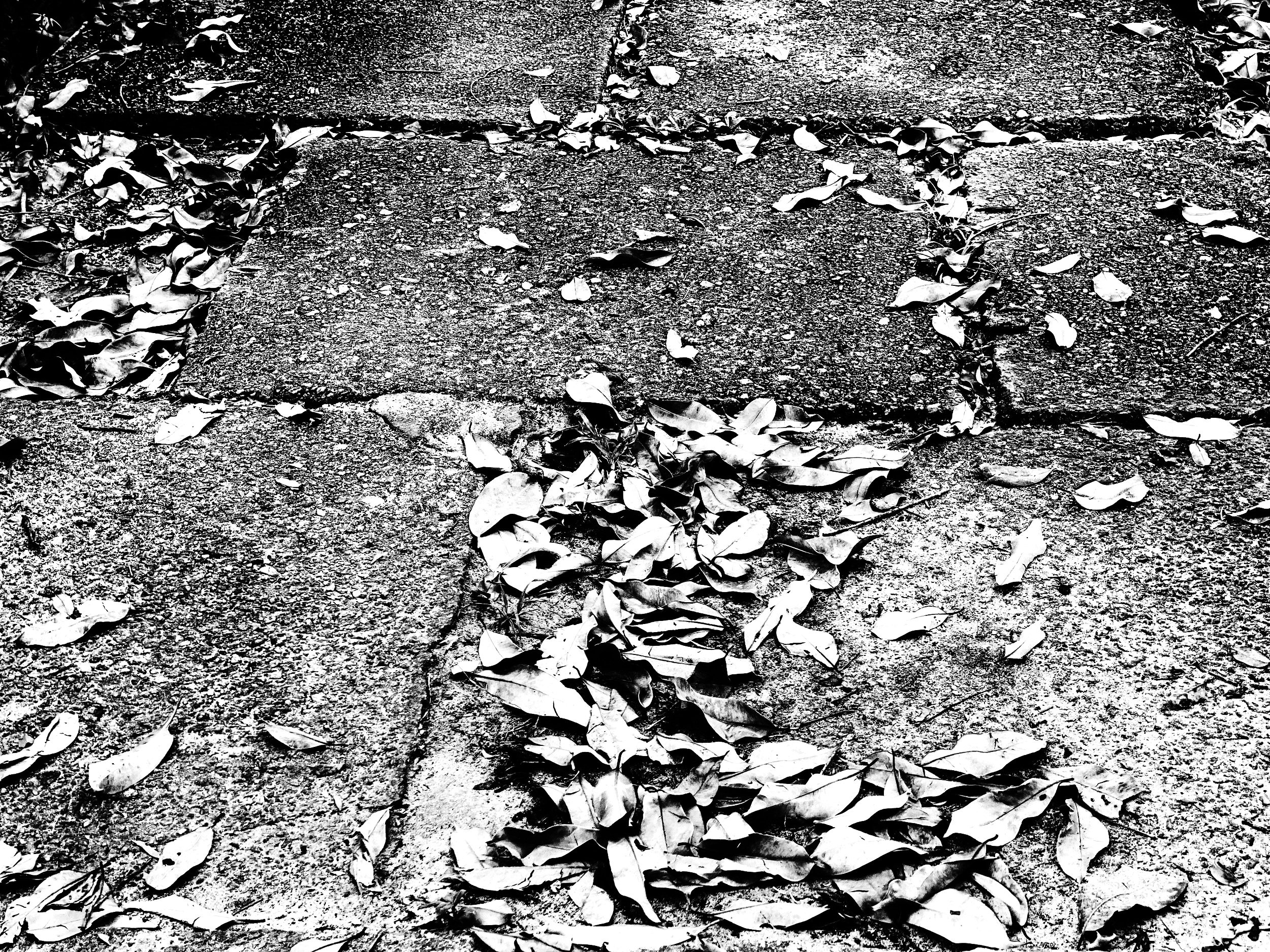five poems