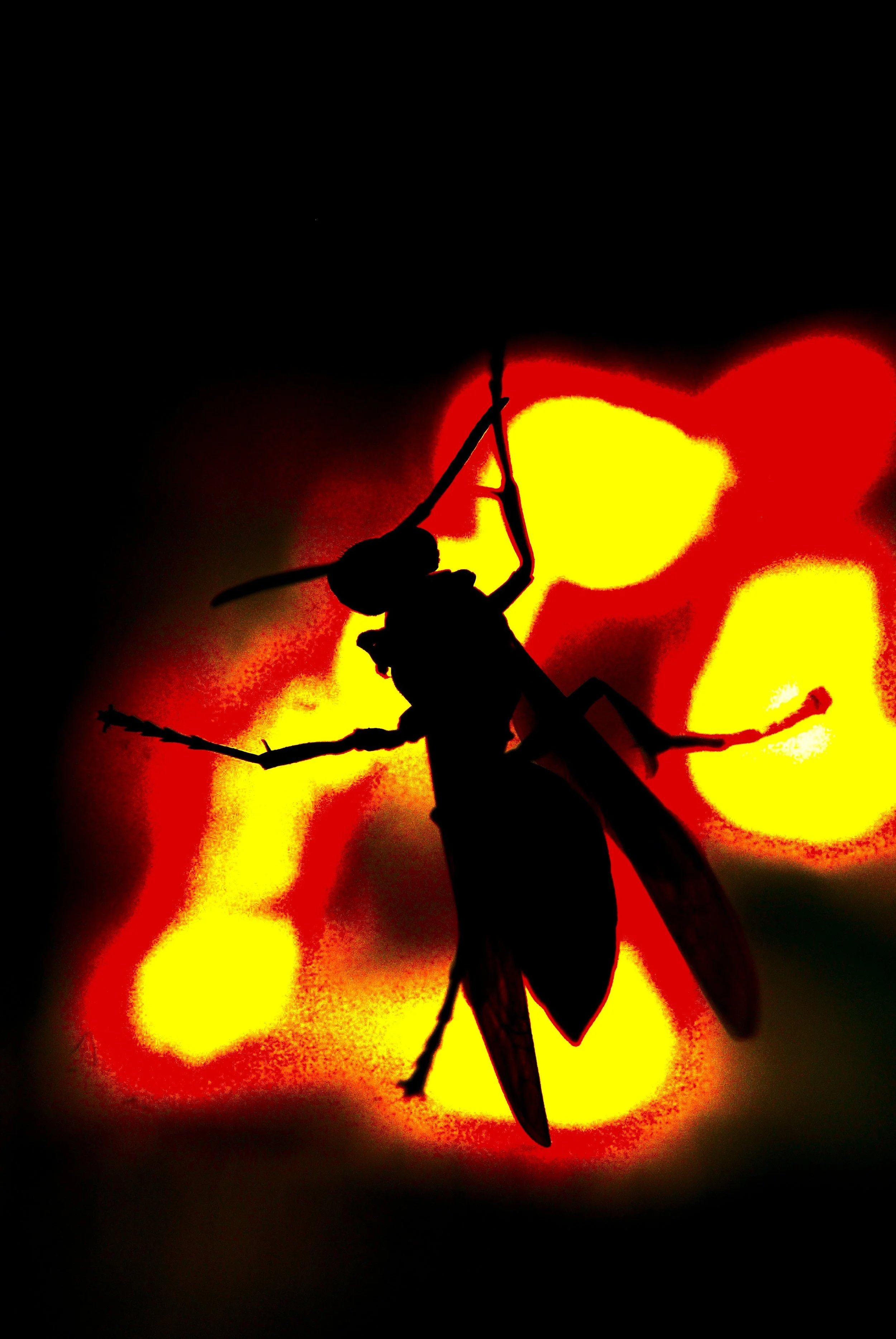 bugs under my tongue