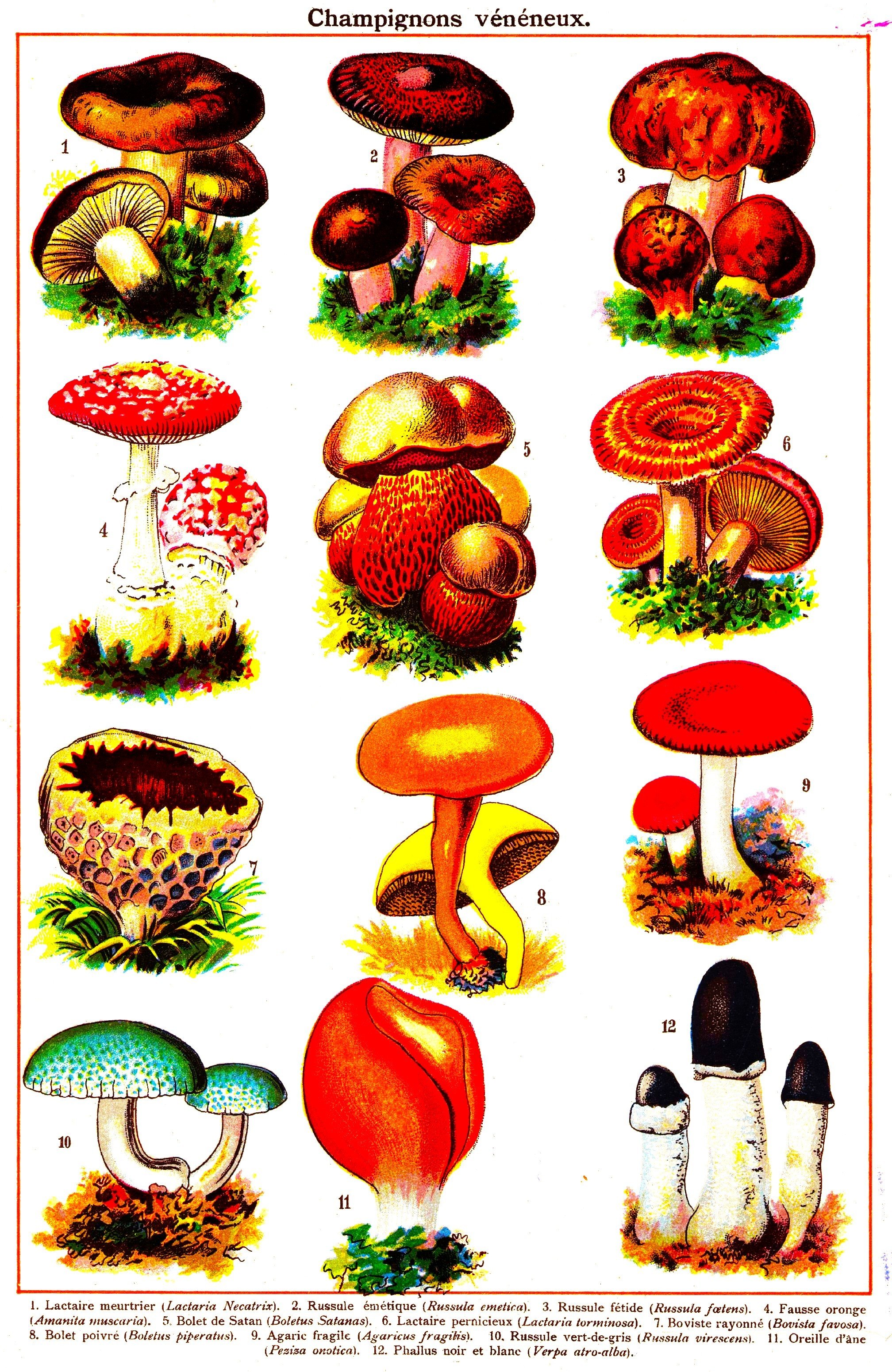 arun.local.botanist-turned-biologist.