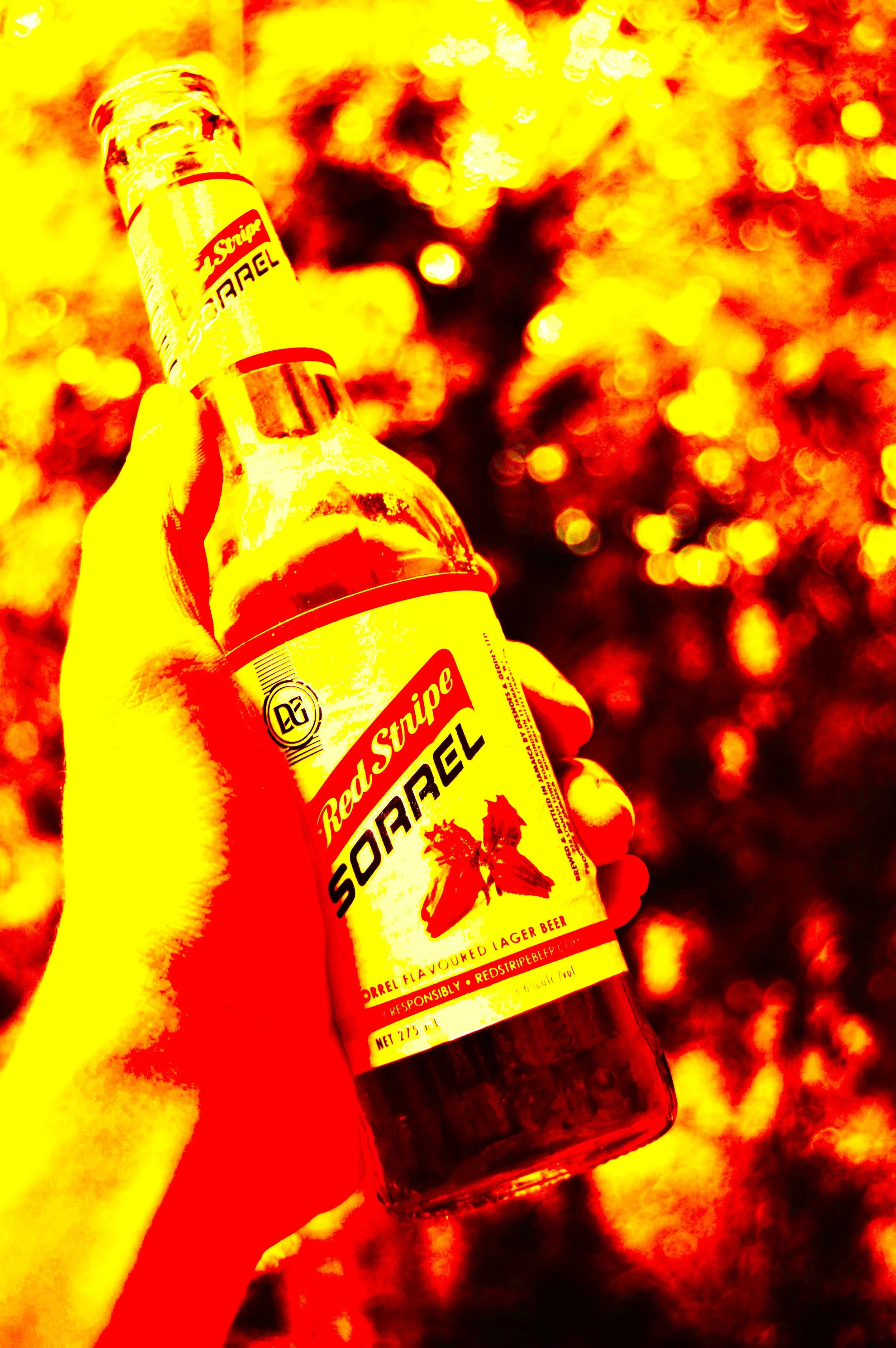 my singer-songwriter friend charlie sang