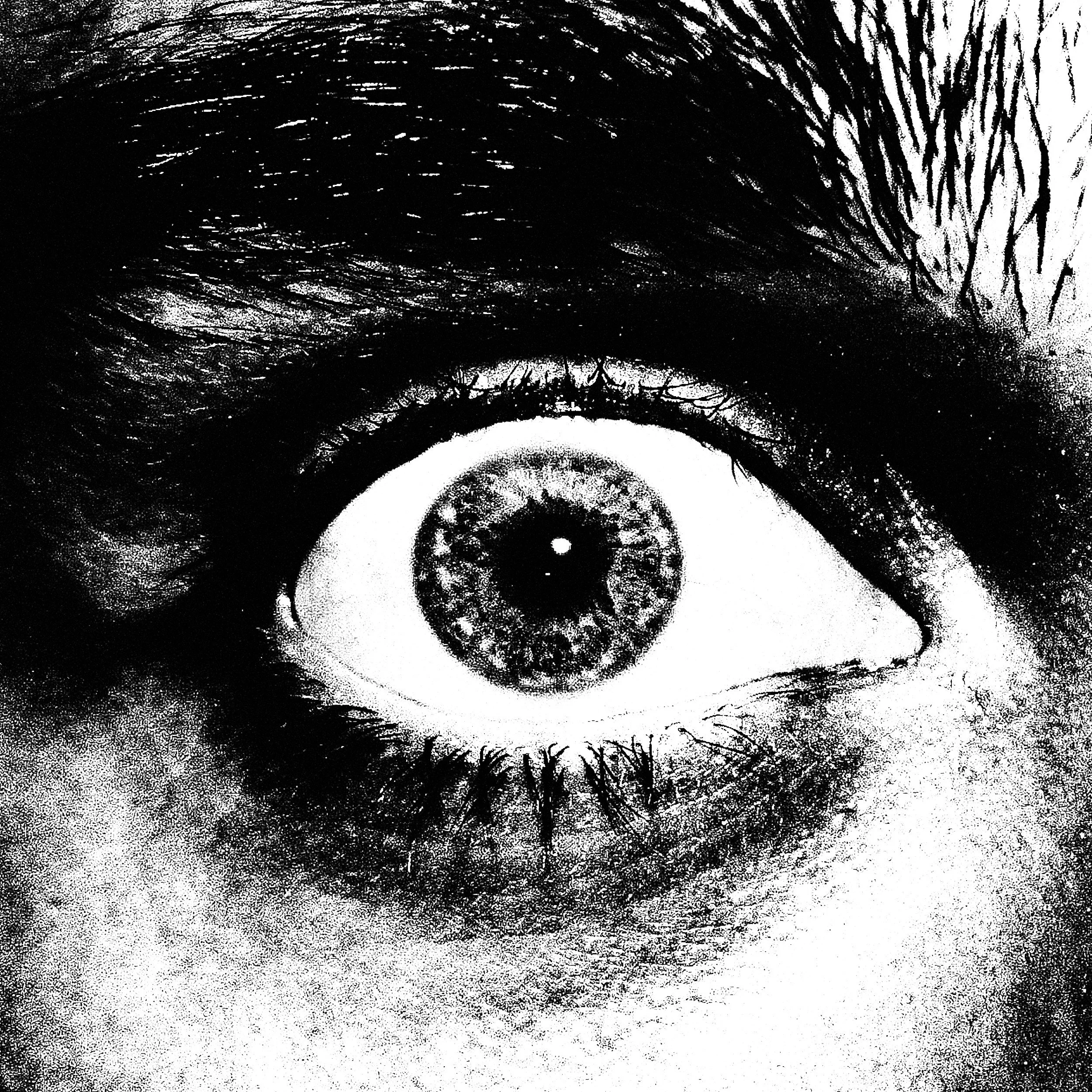 the grandparent scam