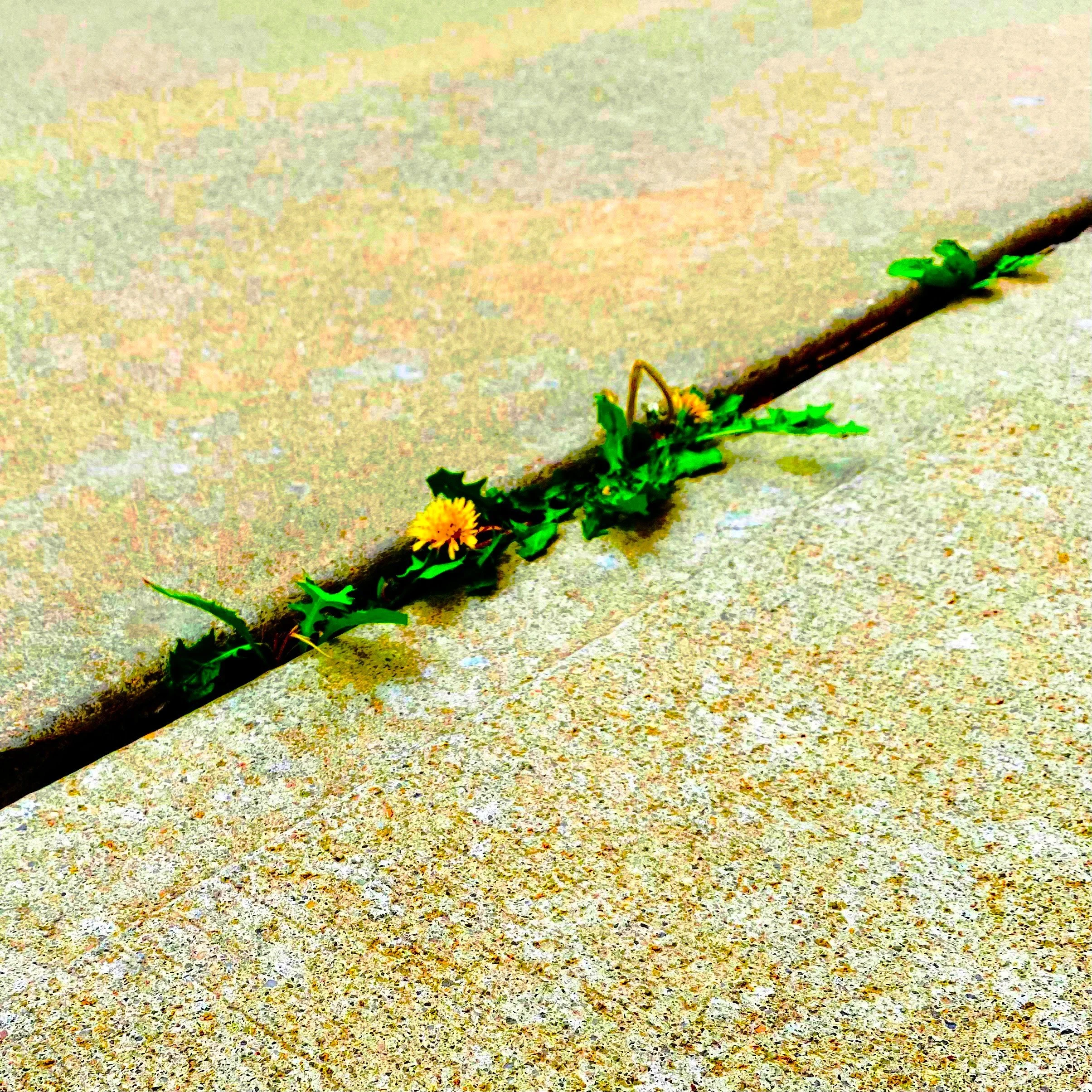four poems