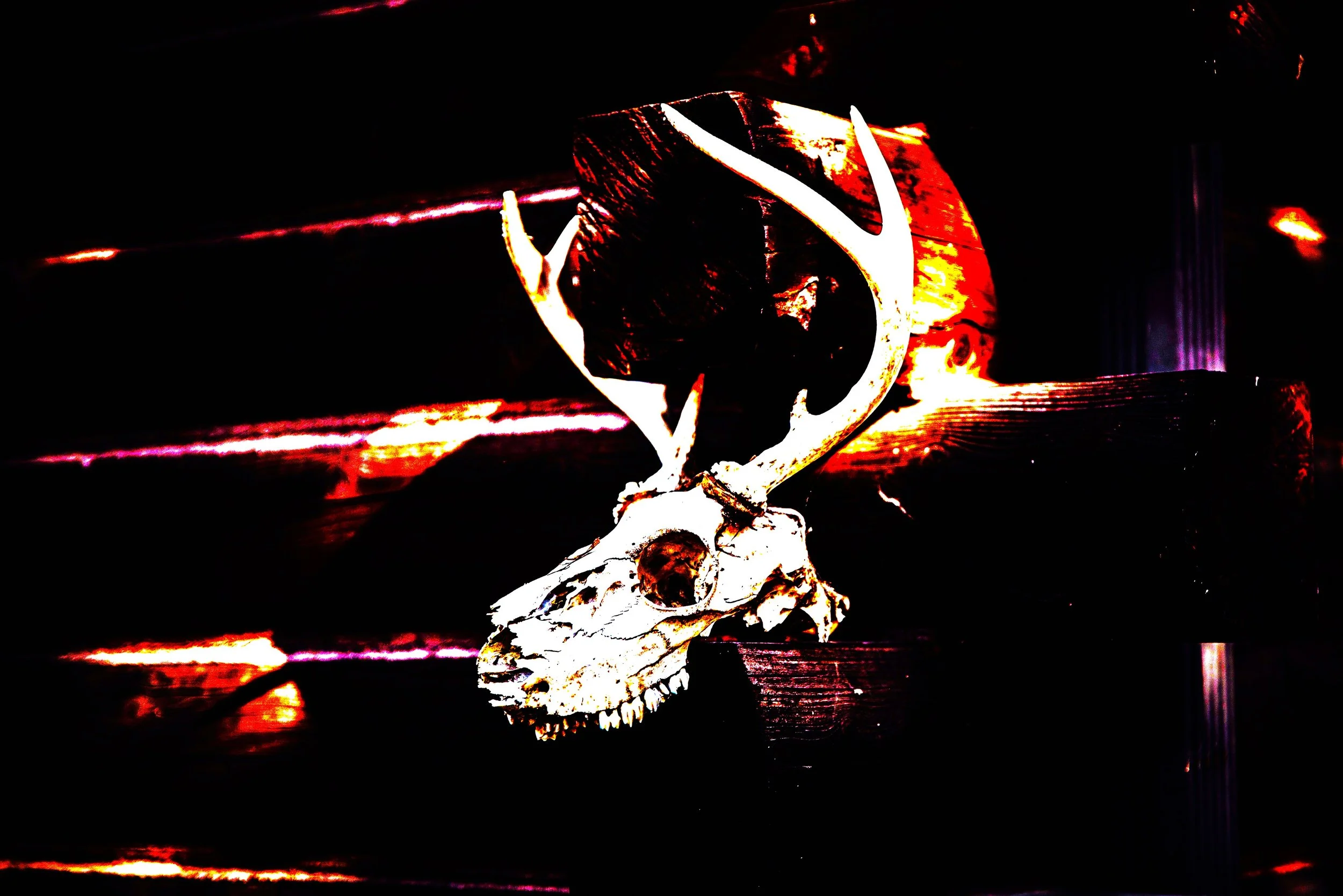 the hunter
