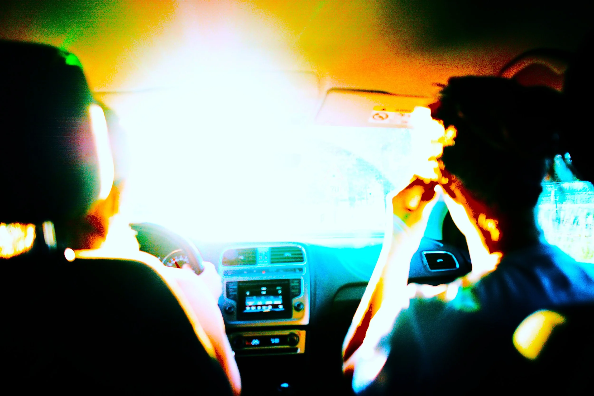 homeward bound