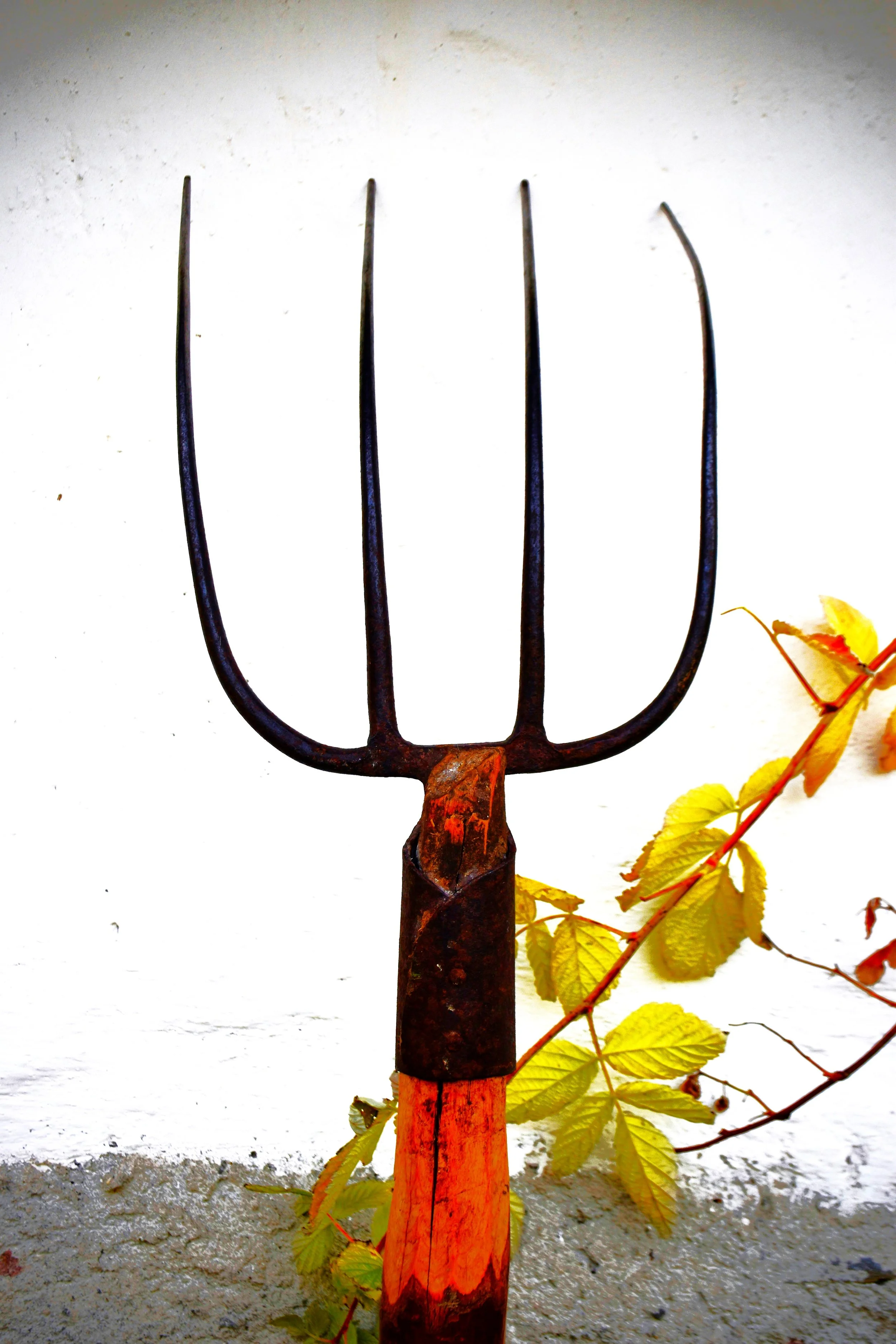 an anatomy of a pitchfork