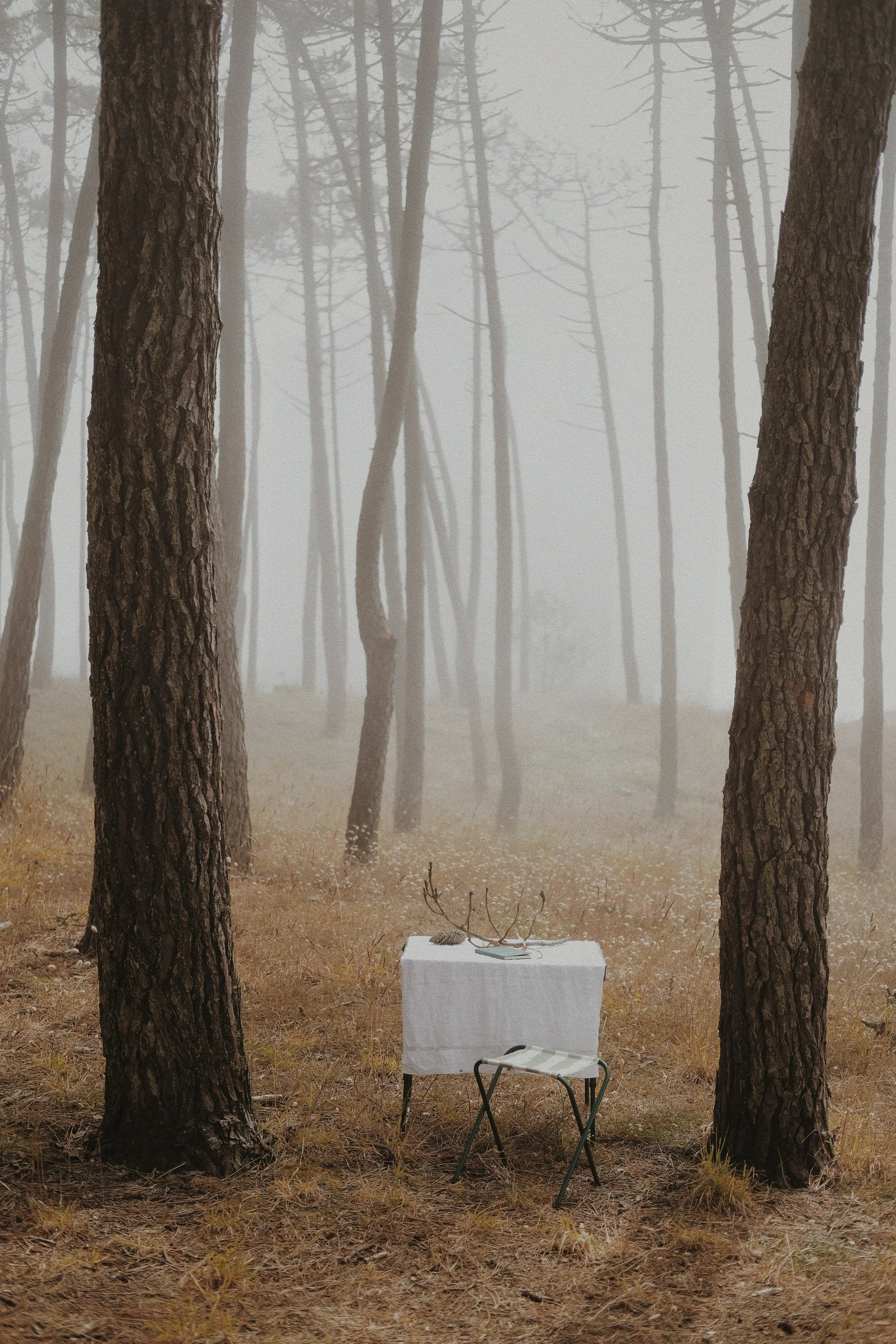melancholia