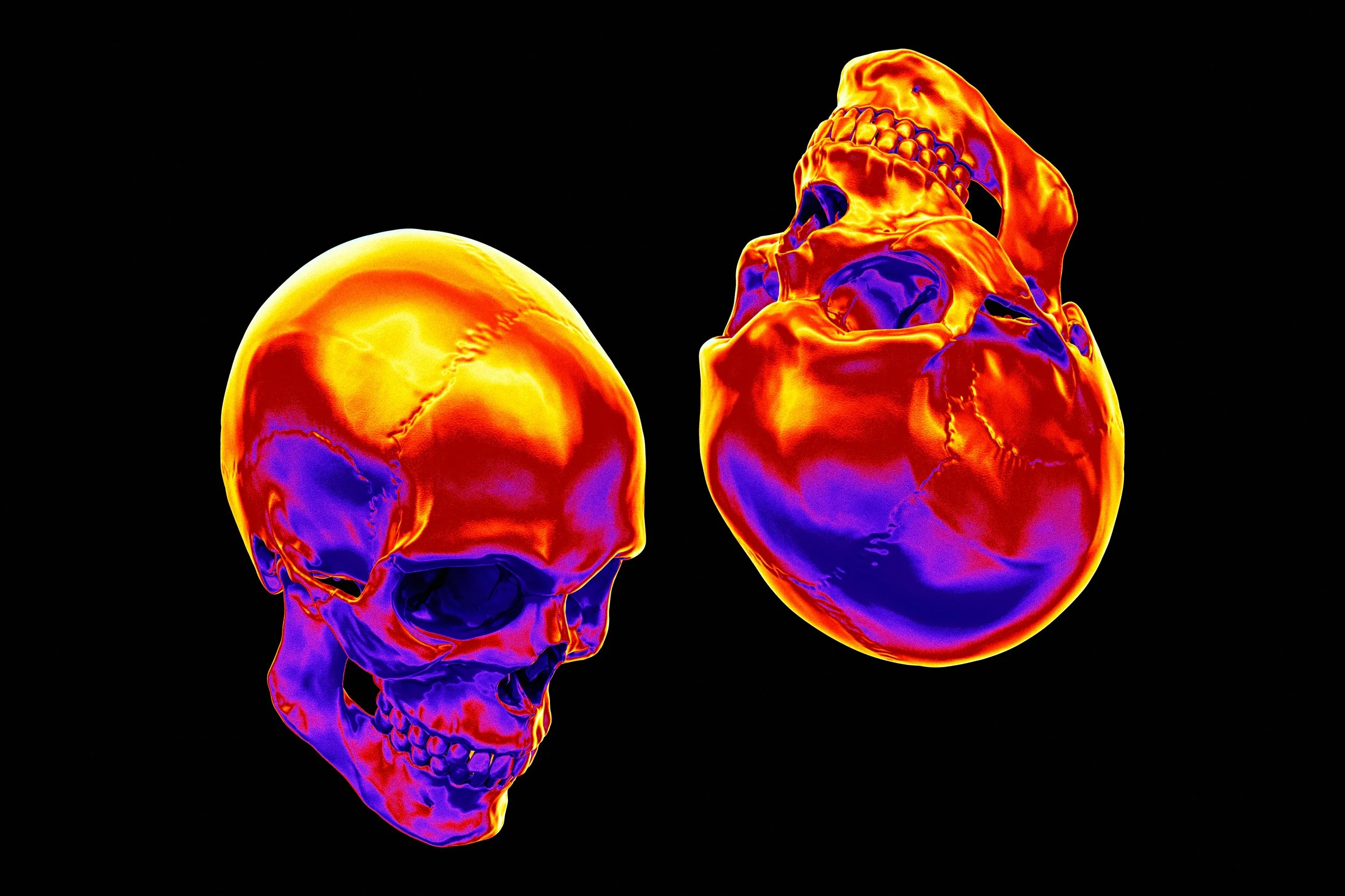 "the paleontologist finds love" by James Callan (poetry)