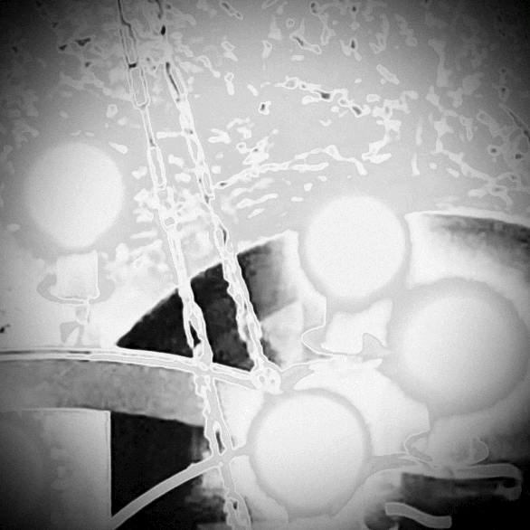 sunday clown, monday bees