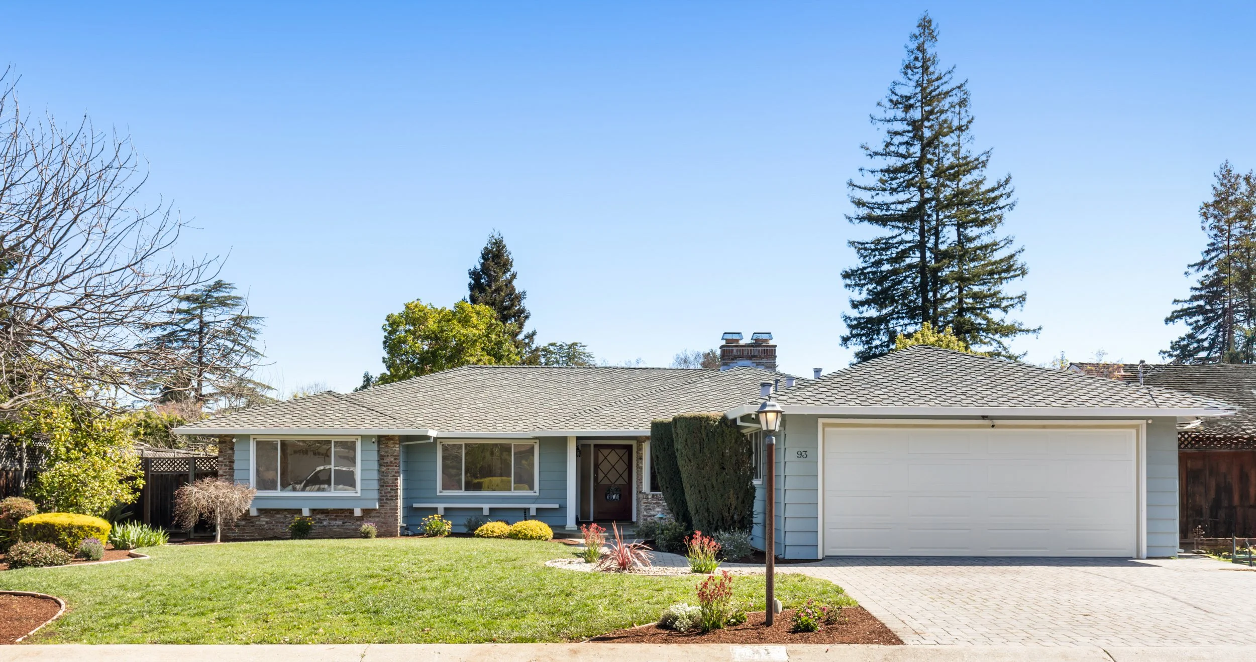 1-Sunkist_Matt Anello-1-MLS.jpg