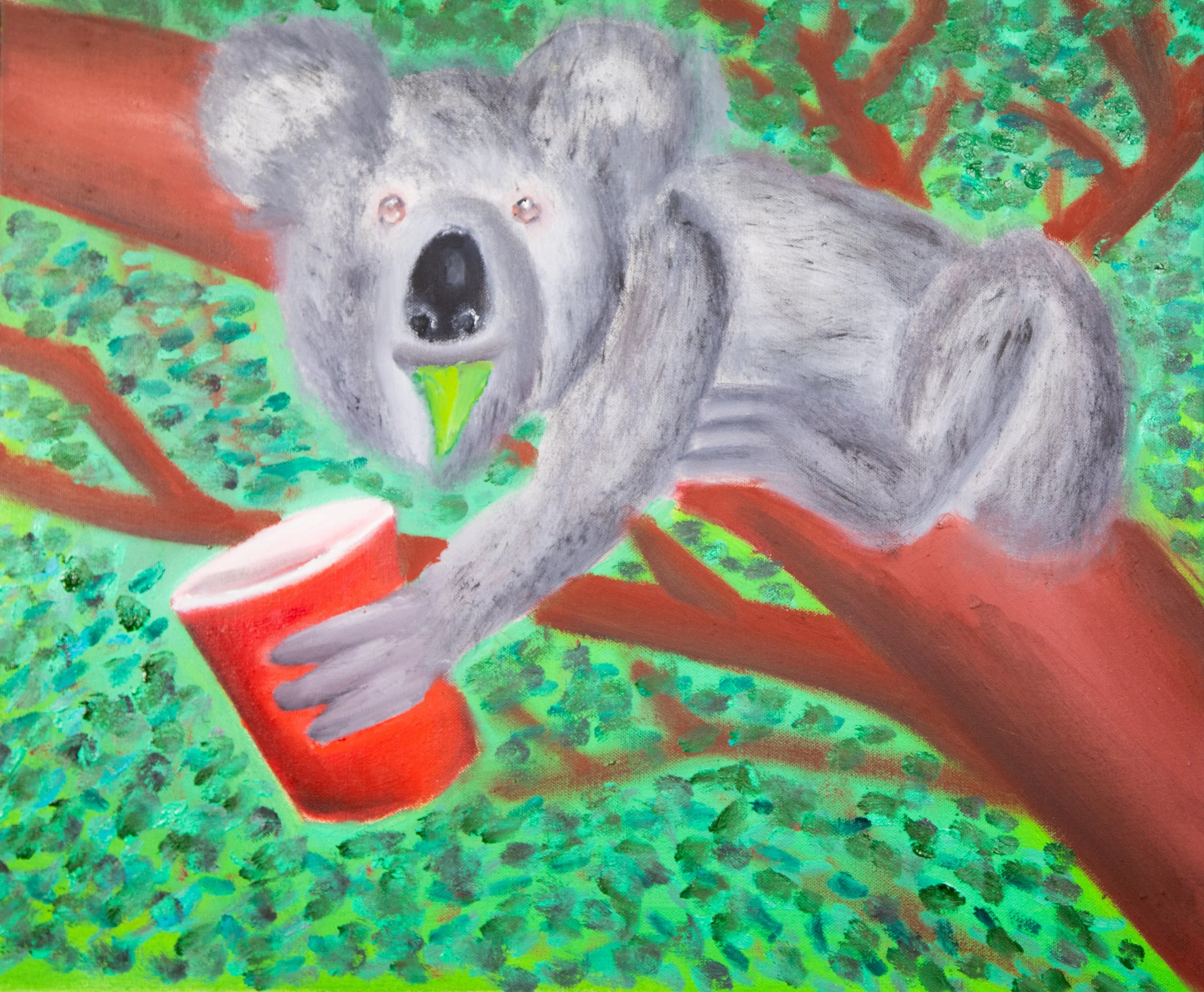 Kooked Koala