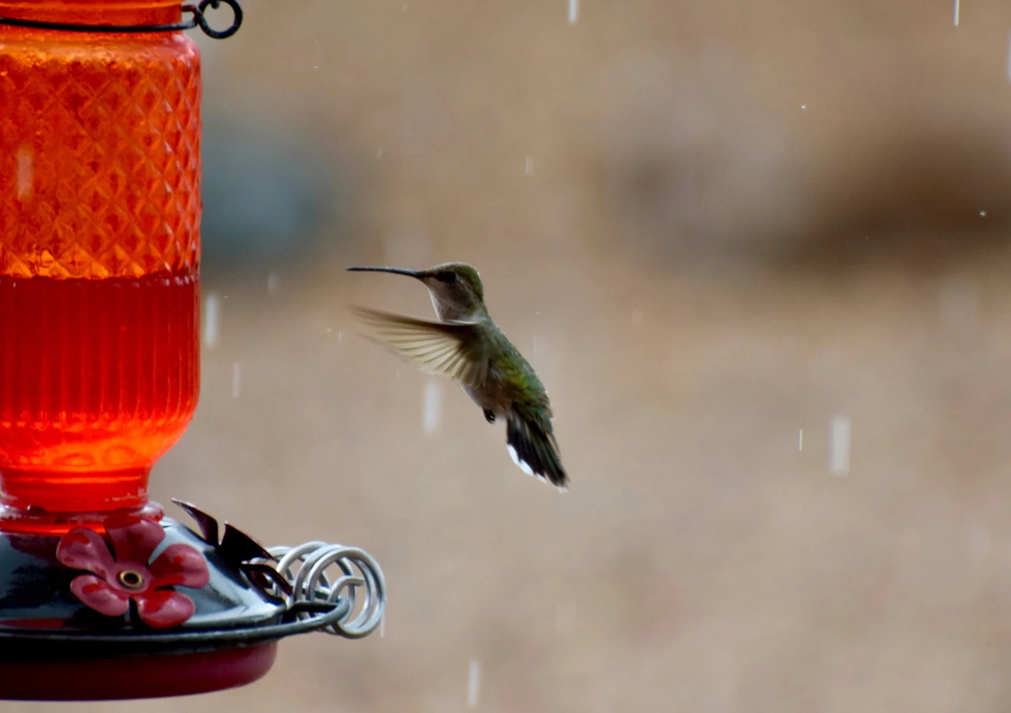 Messenger_creation_DE3FF978-5E89-4A47-A4BF-A02BCDDE5158.jpeg