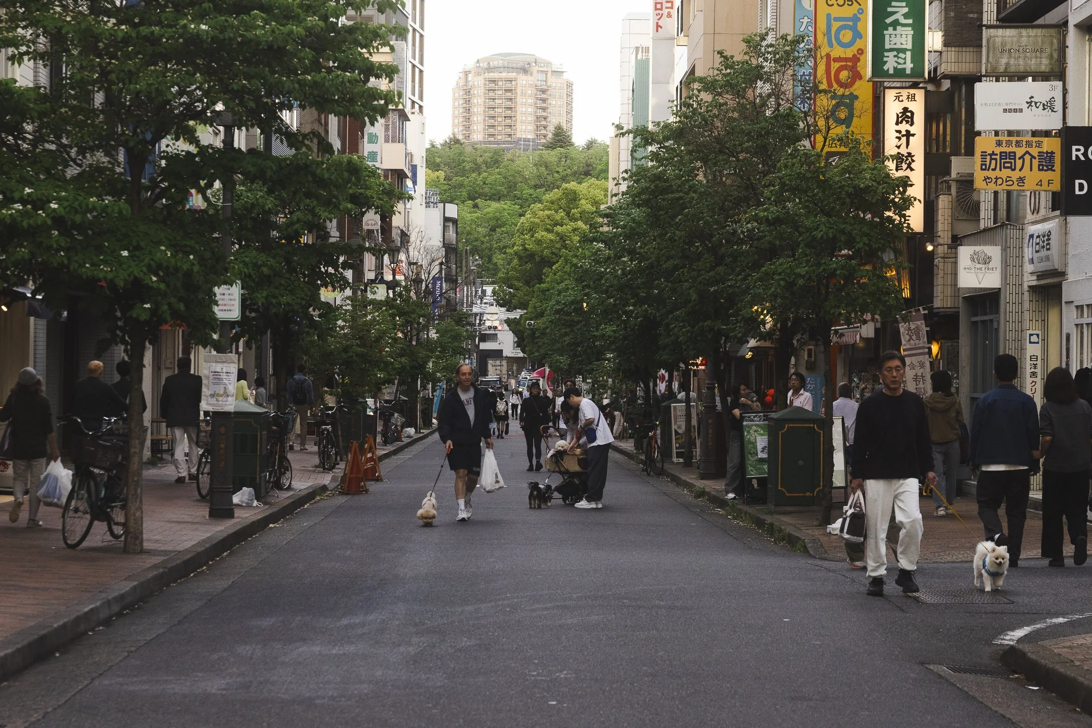 Hiroo_Atmosphere_9101.jpg