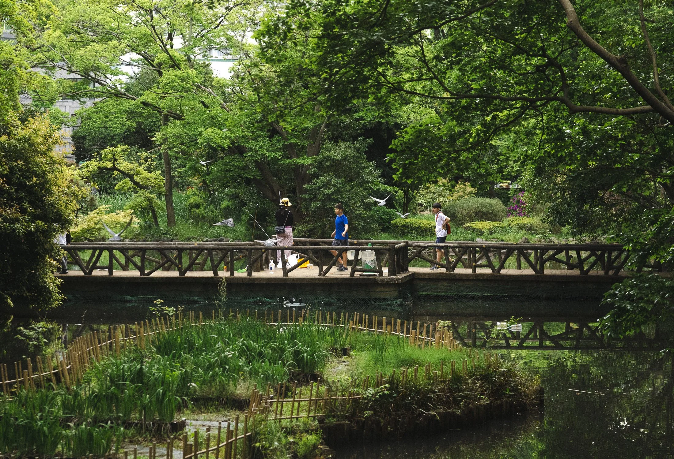 Hiroo_Atmosphere_9031.jpg