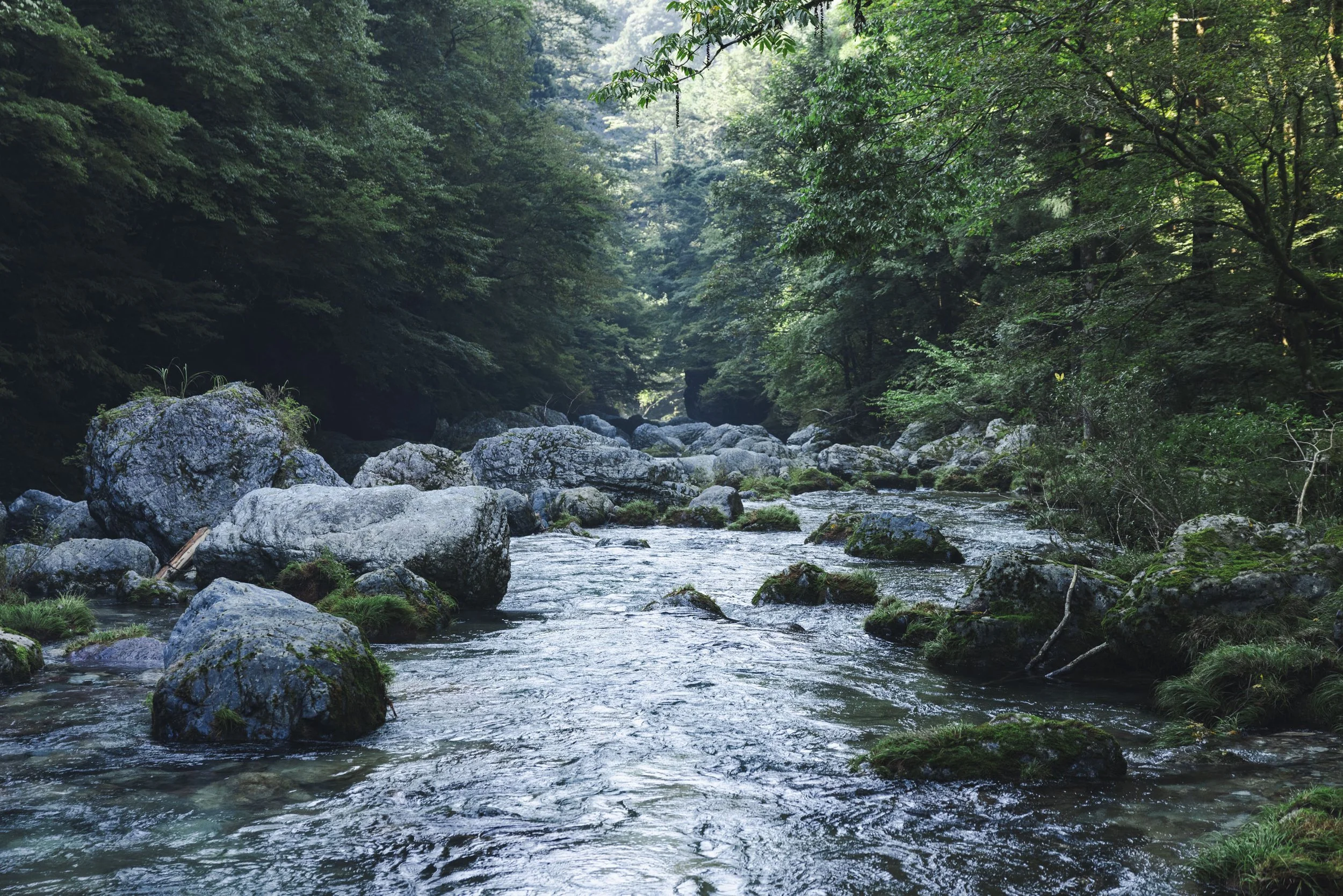 Ehime_Uchiko_Odamiyama_016.jpg
