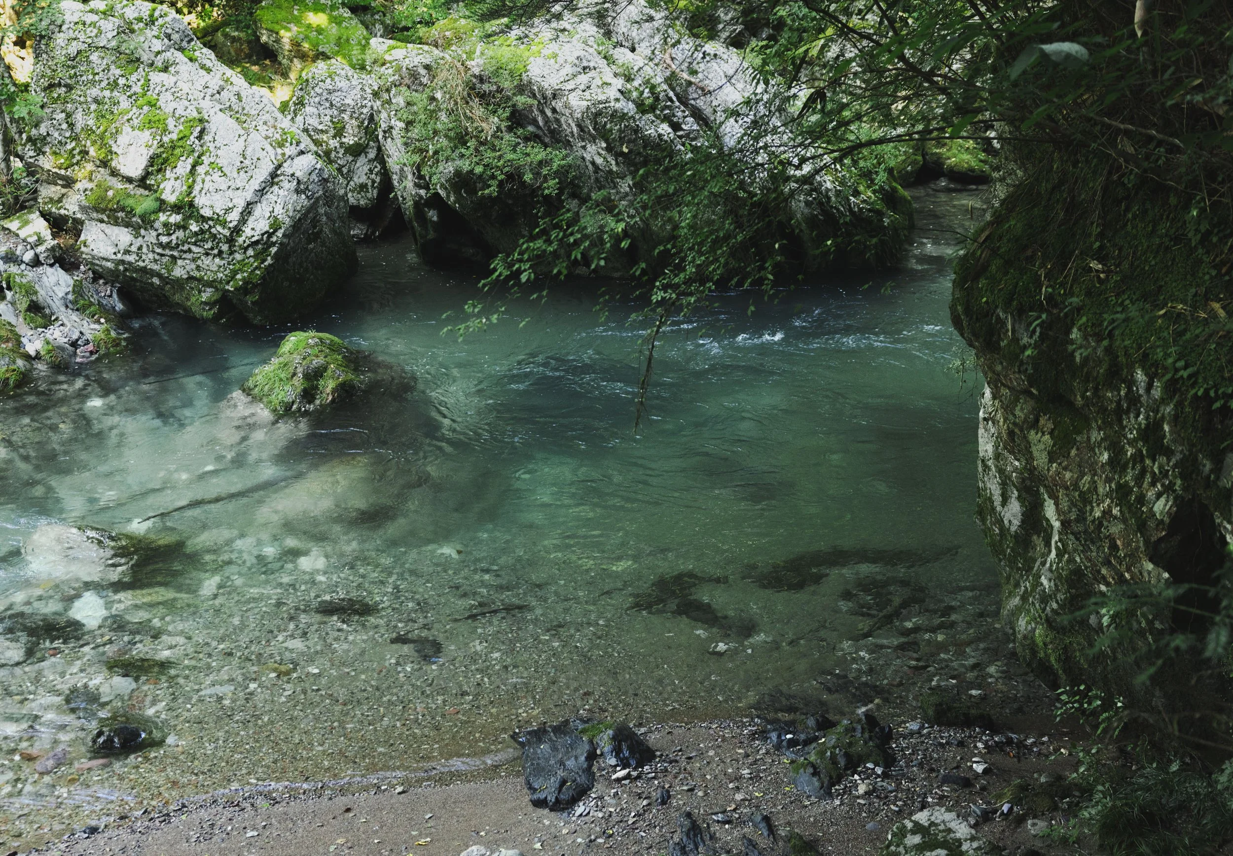 Ehime_Uchiko_Odamiyama_024.jpg