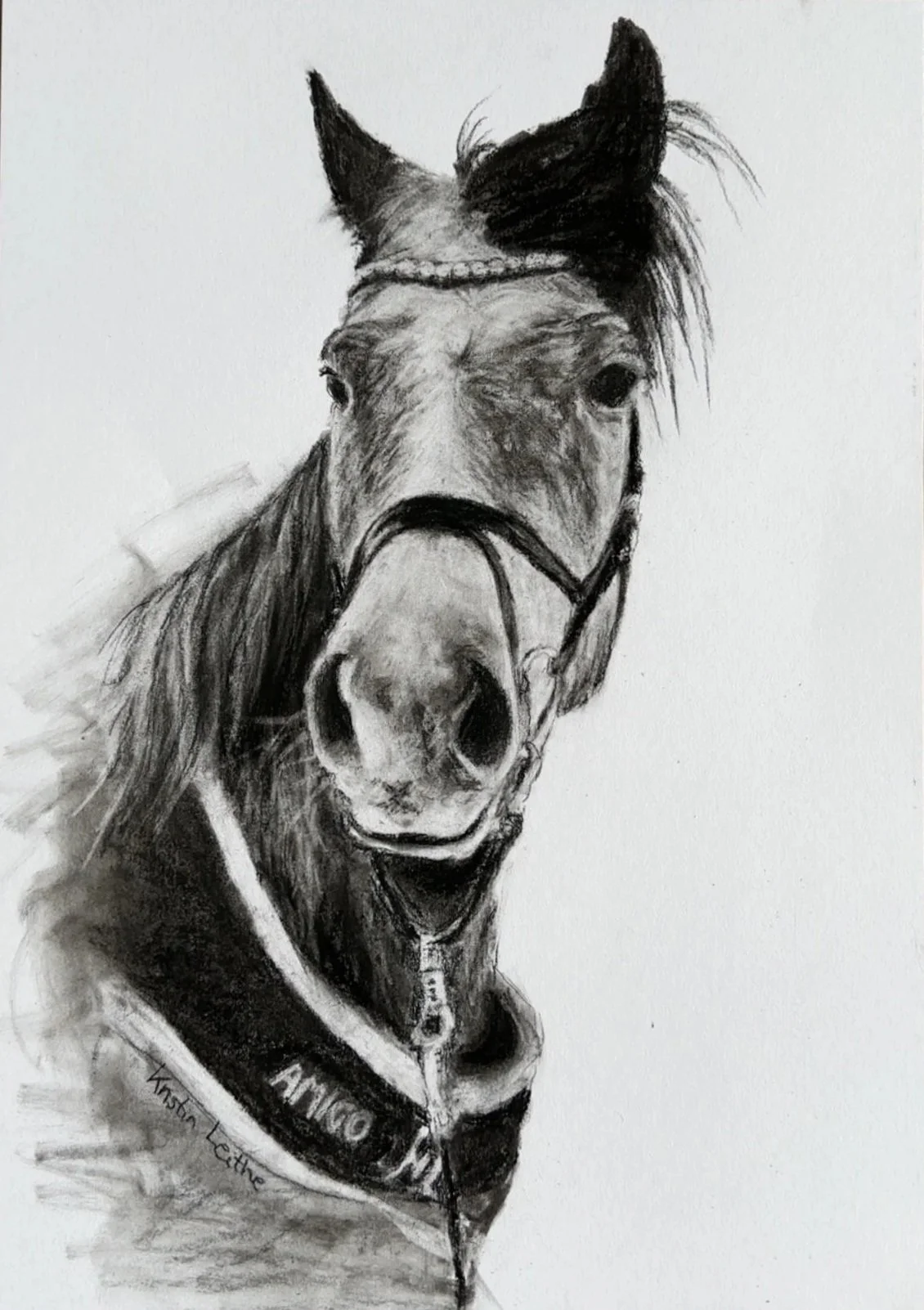 Bestillingsbilde 30*40cm (A3)