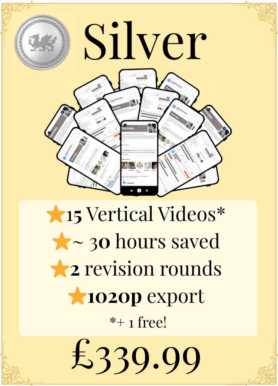 Vertical Videos - Silver